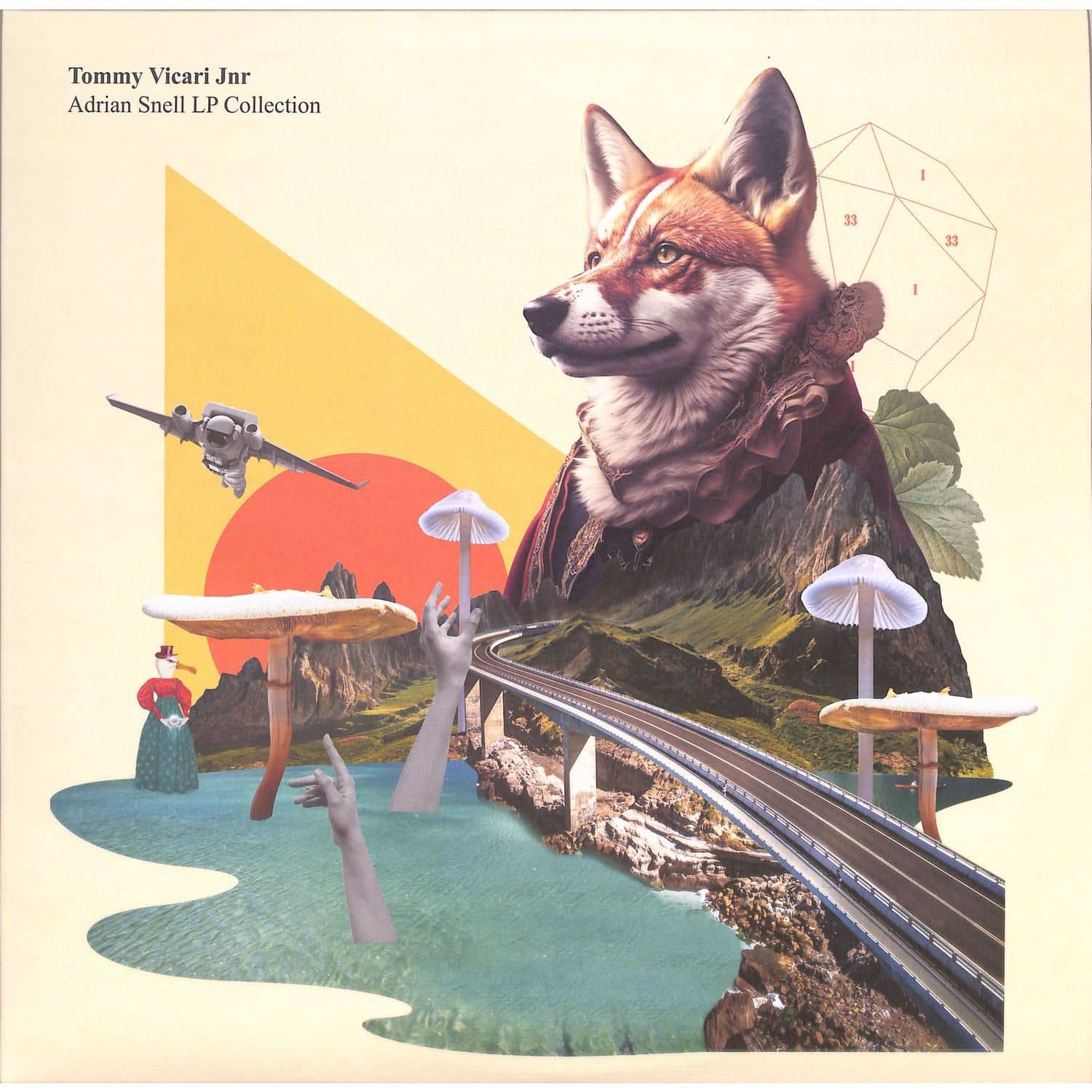 Tommy Vicari Jnr - ADRIAN SNELL LP COLLECTION 