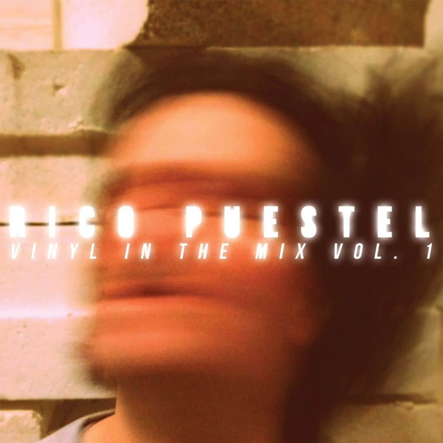 Rico Puestel - VINYL IN THE MIX VOL. 1 
