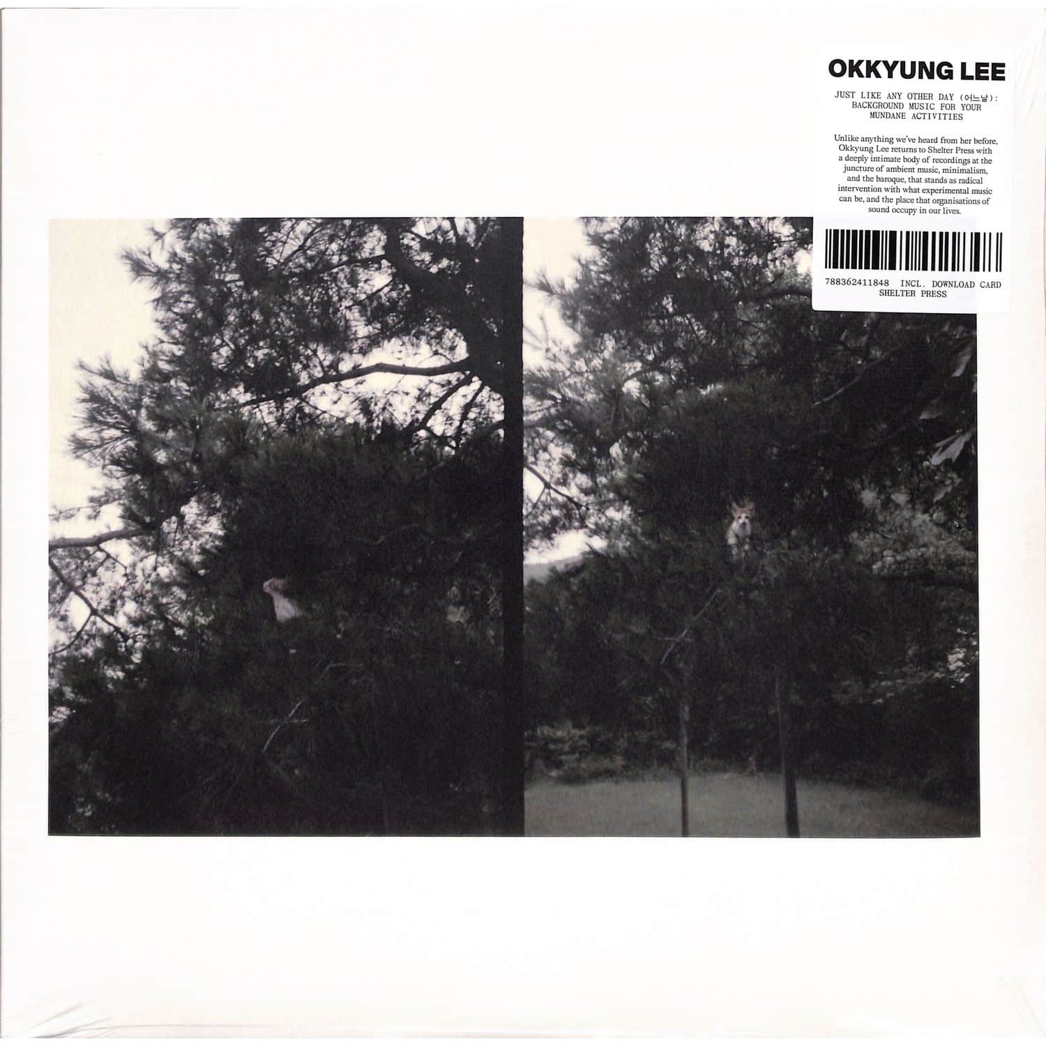 Okkyung Lee - JUST LIKE ANY OTHER DAY 