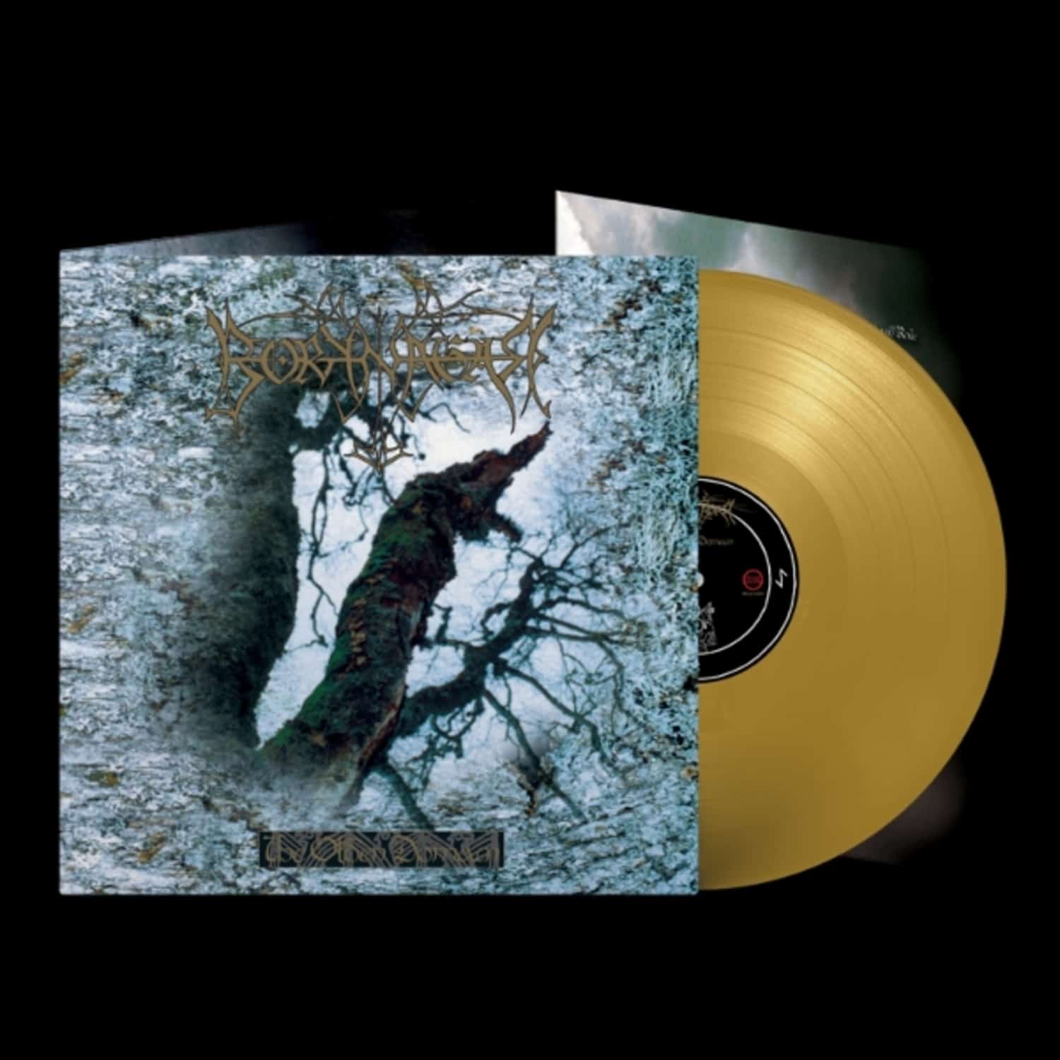 Borknagar - THE OLDEN DOMAIN 
