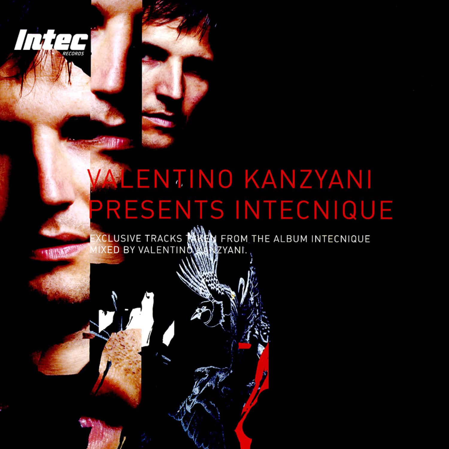 Valentino Kanzyani - INTECNIQUE