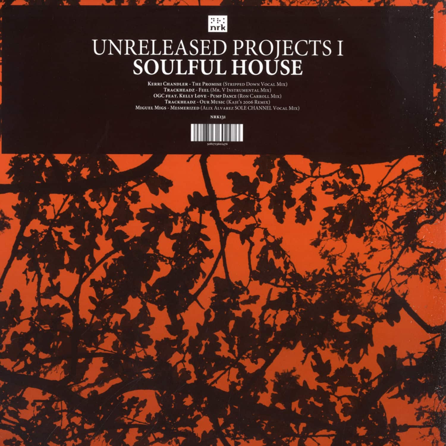 Various - UNRELEASED PROJECTS I - SOULFUL HOUSE 