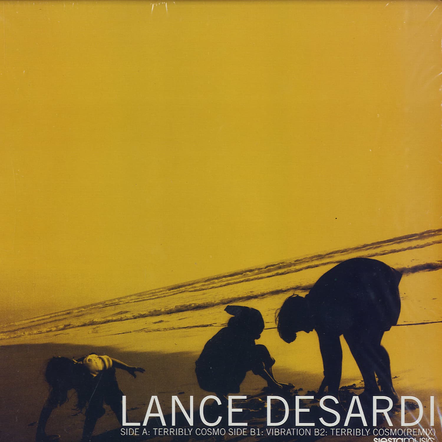 Lance De Sardi - TERRIBLY COSMO/VIBRATION