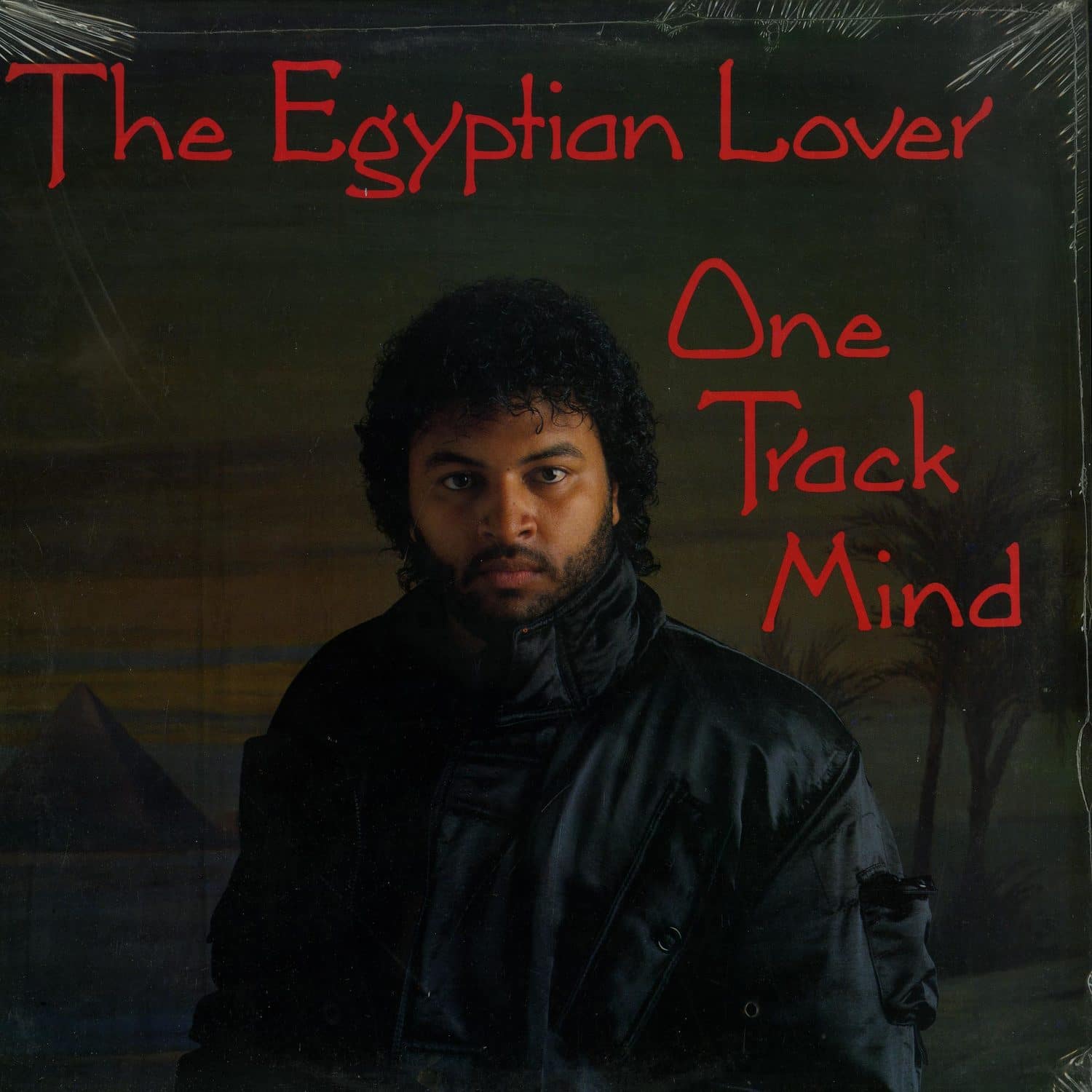 Egyptian Lover - ONE TRACK MIND 