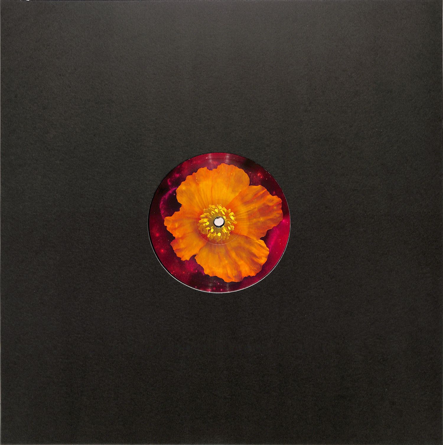 Clarence Wu - VENUS WITHIN