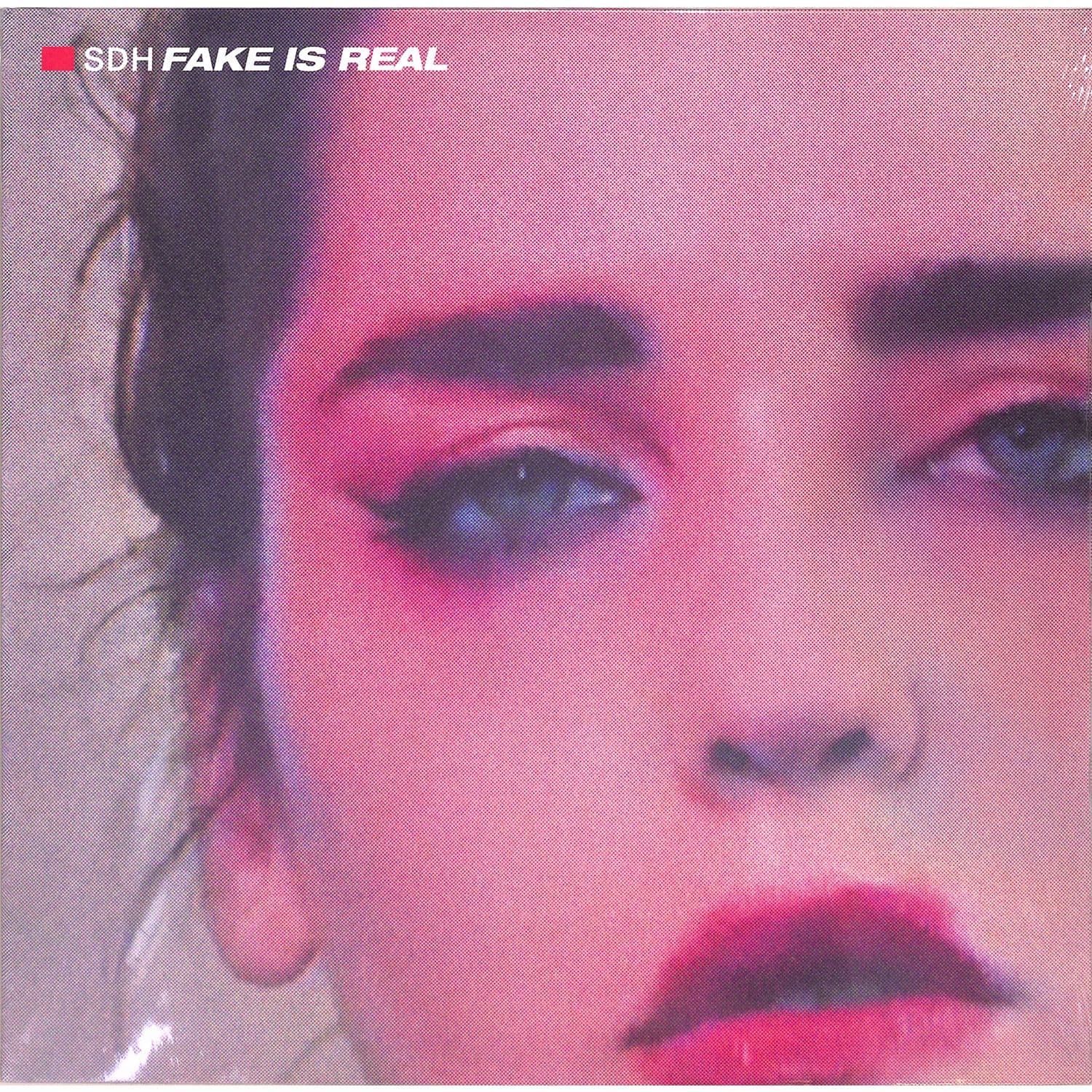 SDH - FAKE IS REAL 