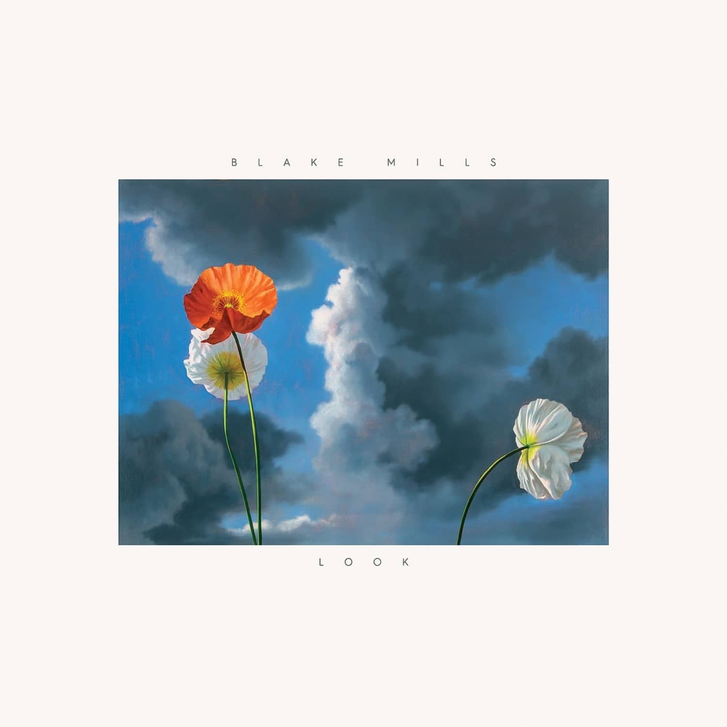 Blake Mills - LOOK 