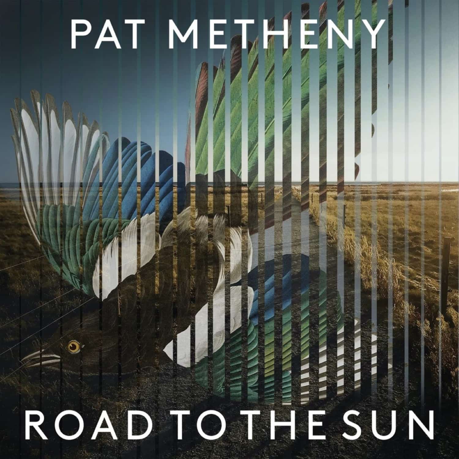 Pat Metheny - ROAD TO THE SUN-LIMITED DELUXE BOXSET 