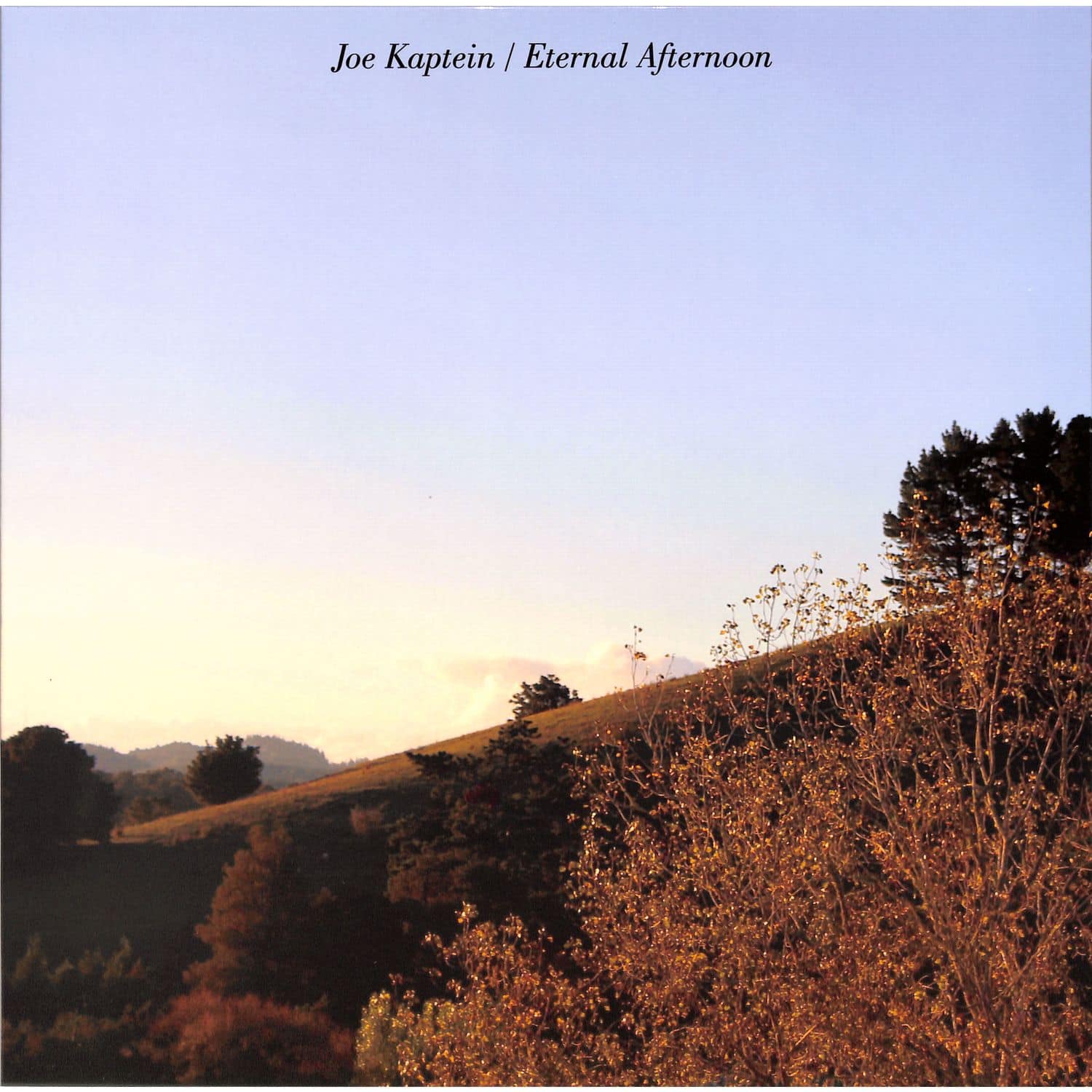 Joe Kaptein - ETERNAL AFTERNOONS 