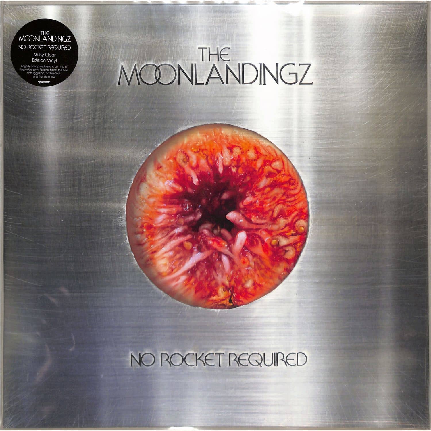 The Moonlandingz - NO ROCKET REQUIERED 