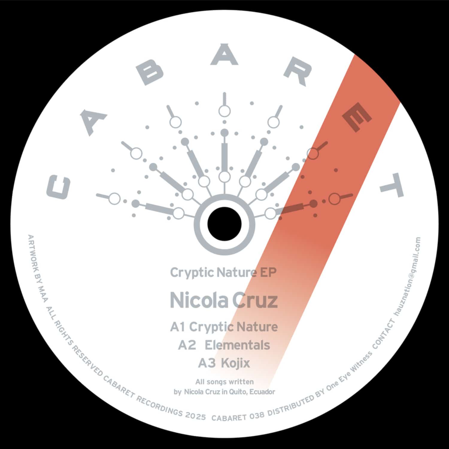 Nicola Cruz - CRYPTIC NATURE EP