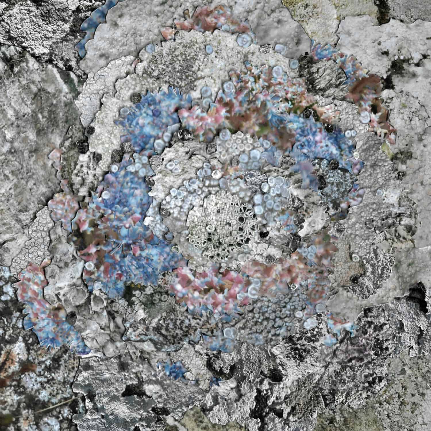 Kinzua - THE CURRENT THING