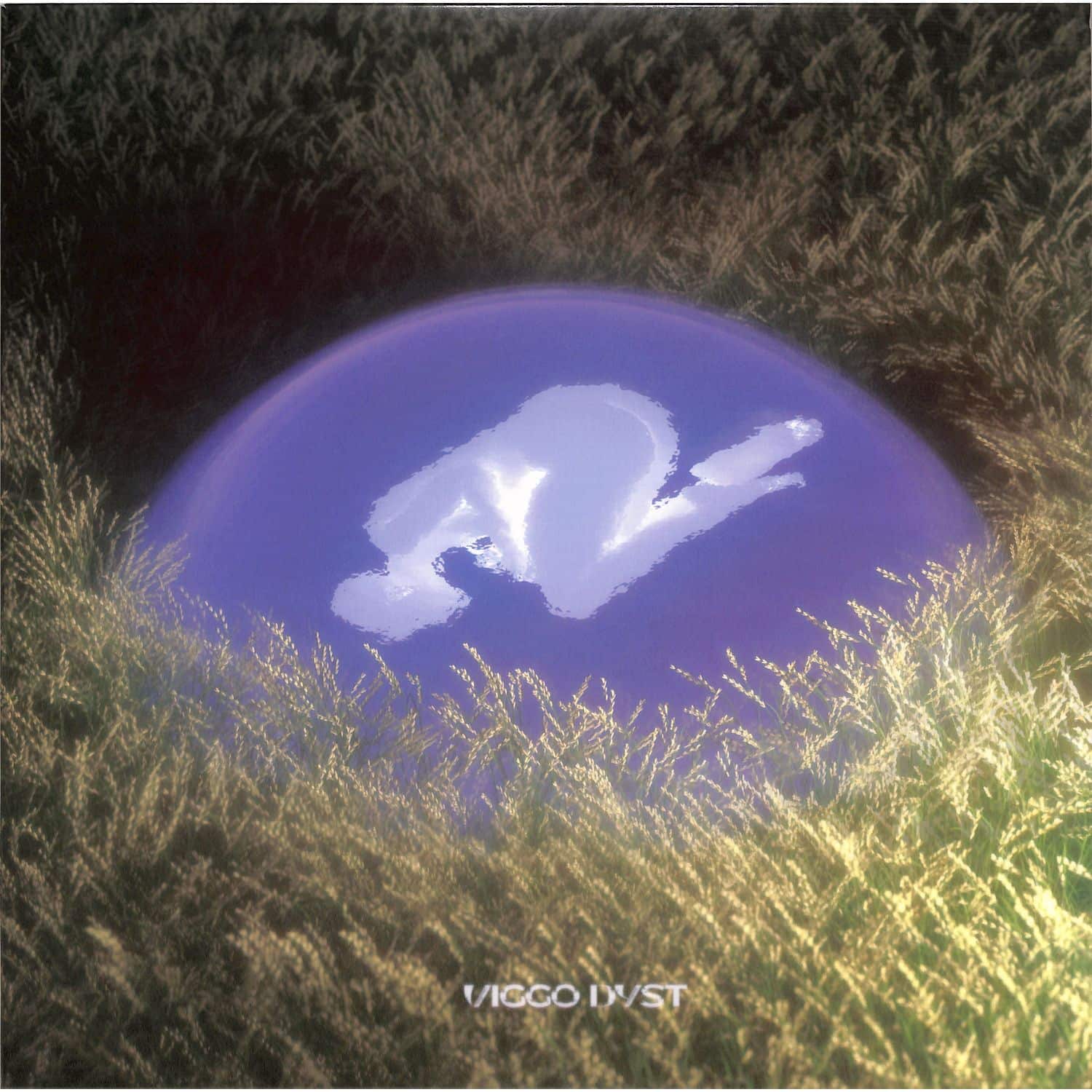 Viggo Dyst - NOT ENOUGH FANTASY