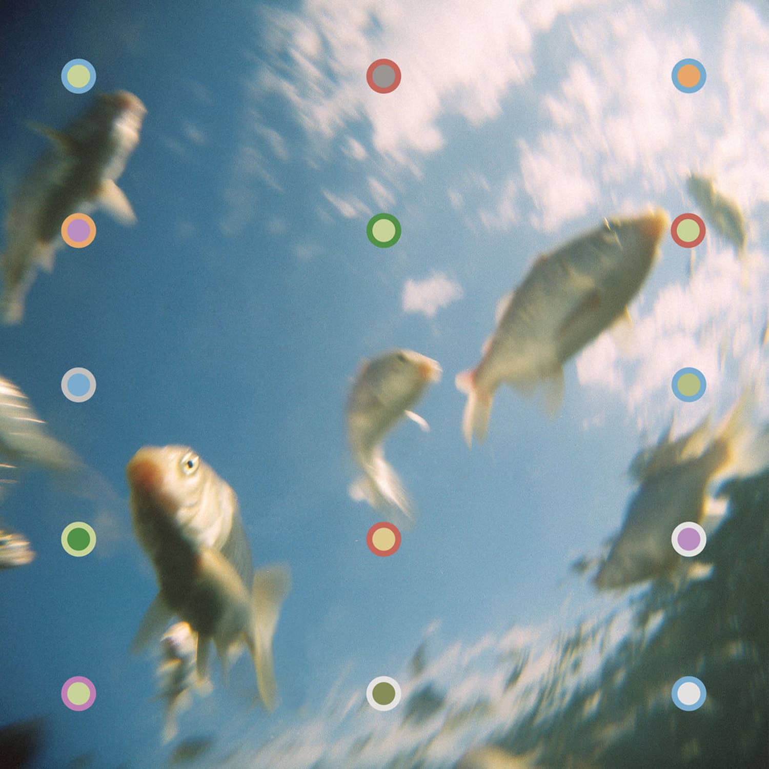 Aladdin - THE AQUATIC GENIE