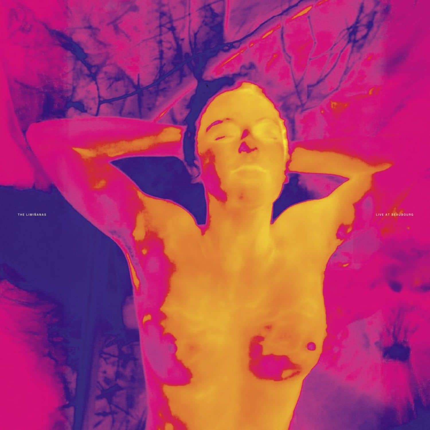 The Liminanas - LIVE AT BEAUBOURG