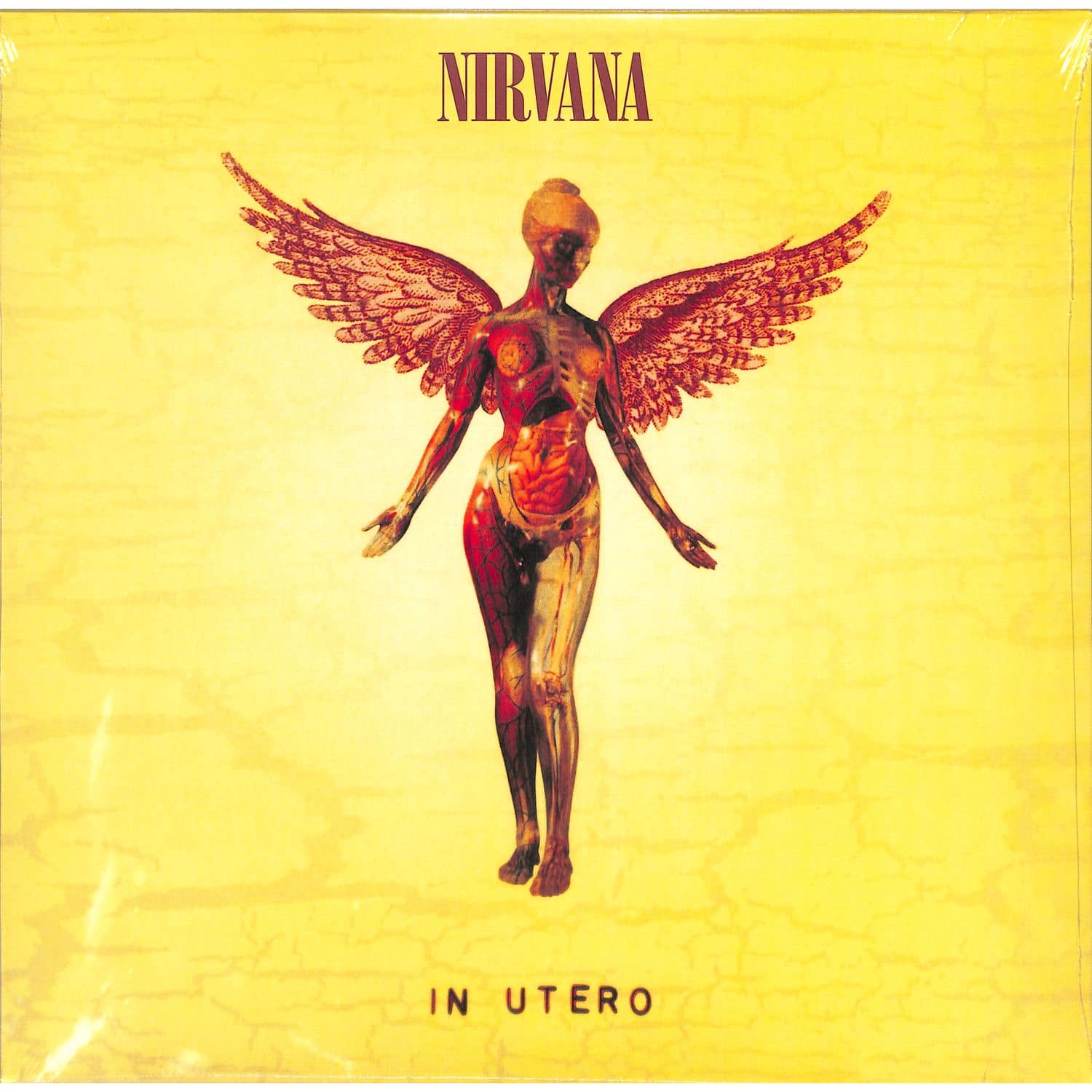 Nirvana - IN UTERO 