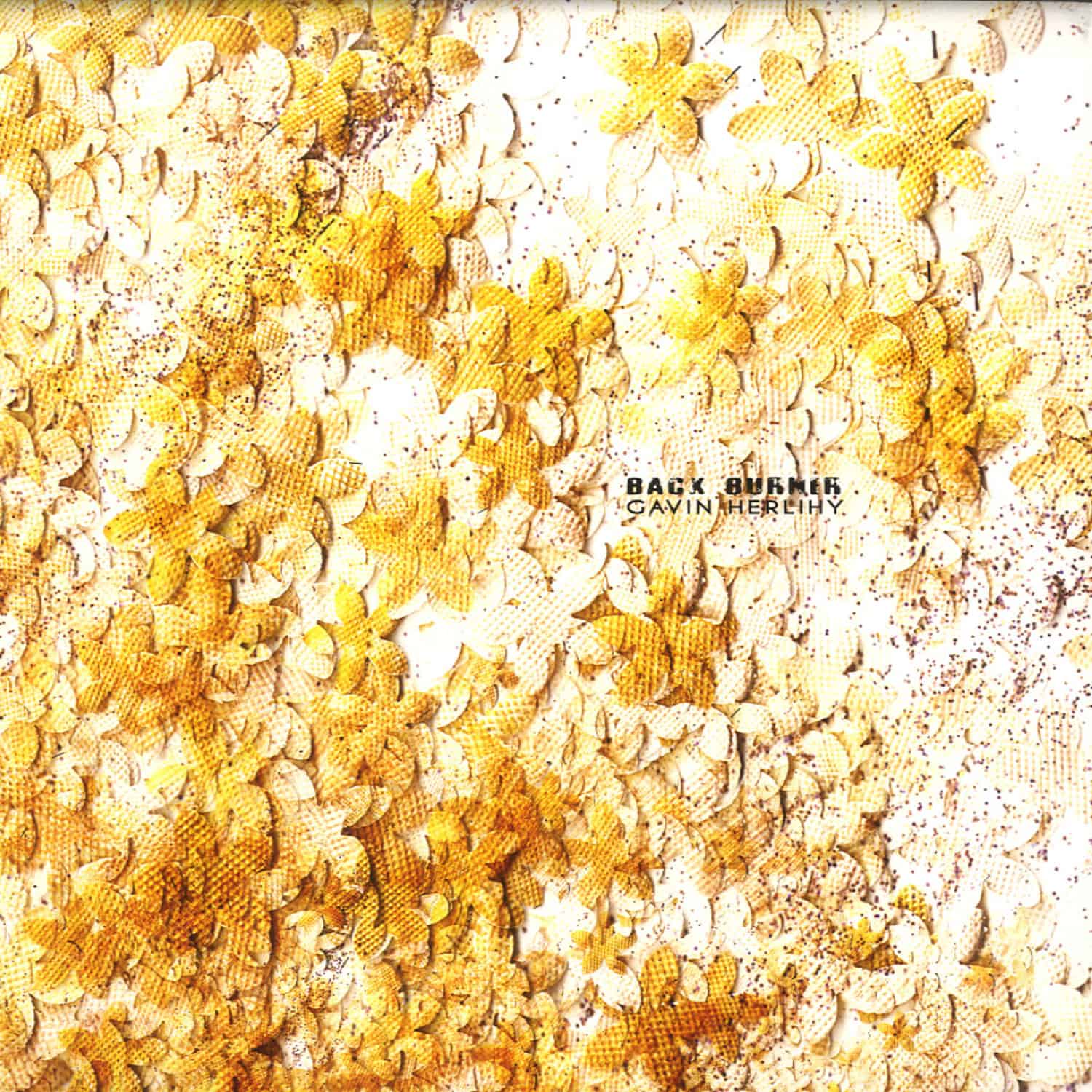 Gavin Herlihy - BACK BURNER EP