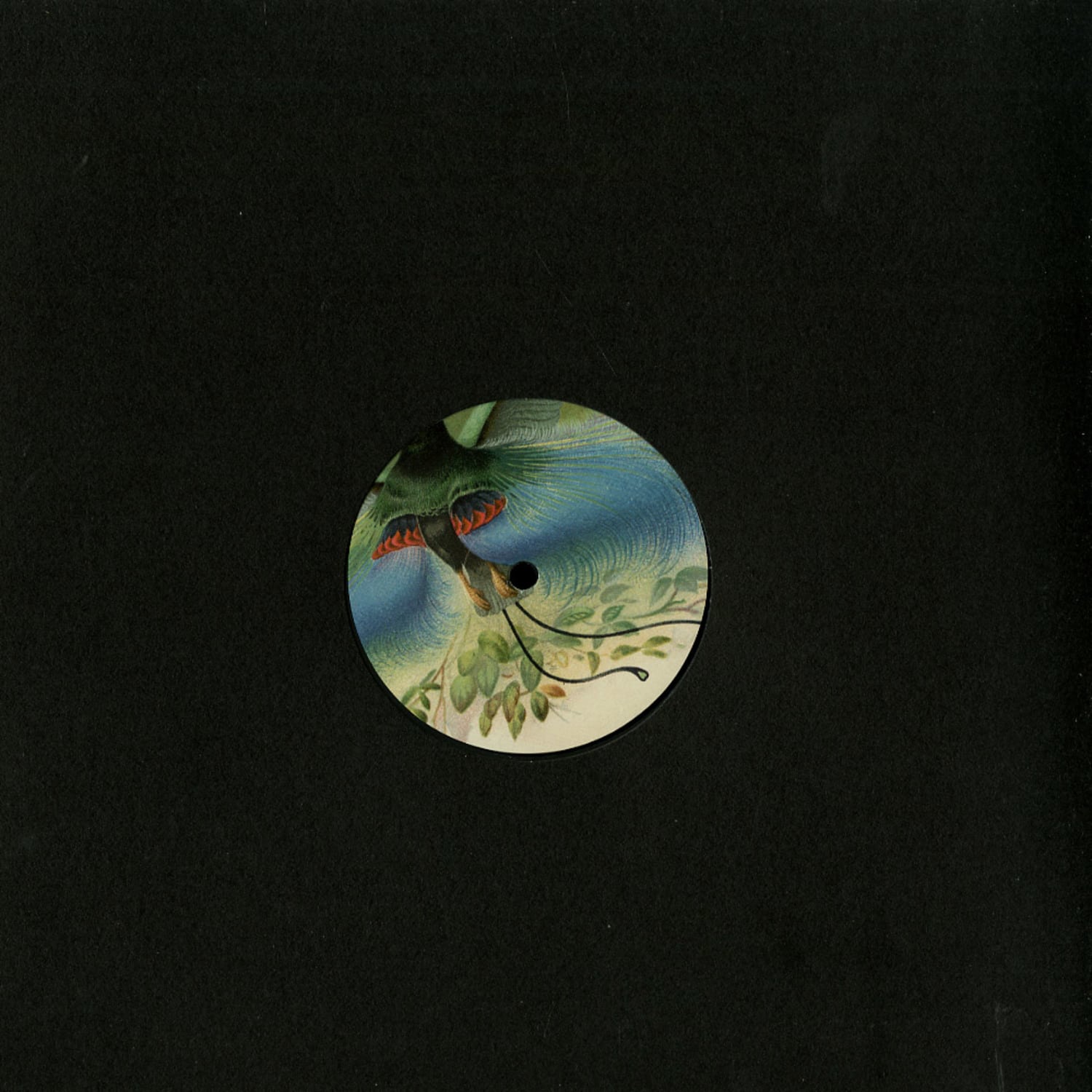 Alejandro Mosso - MOSSO003