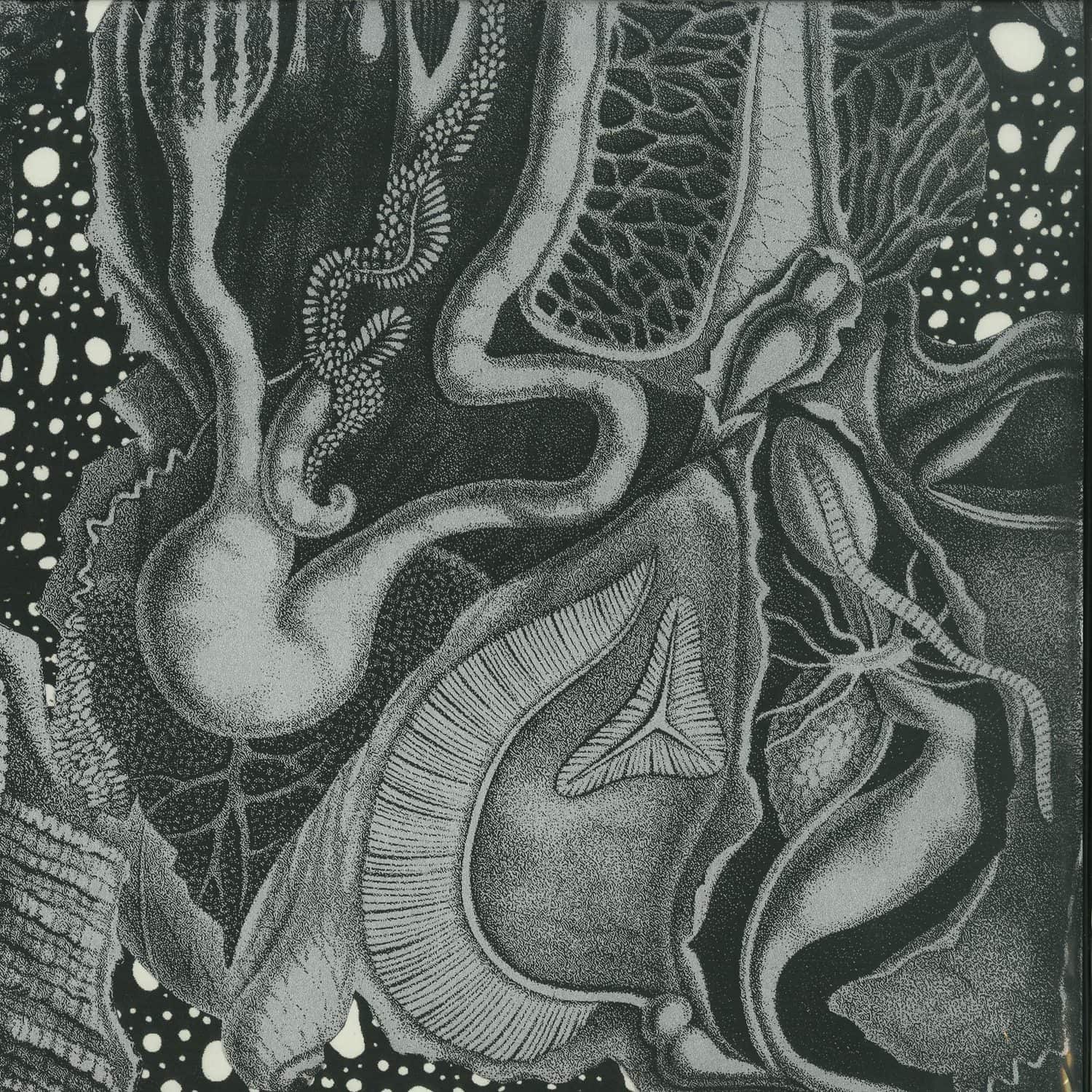 CV313 - DIMENSIONAL SPACE 