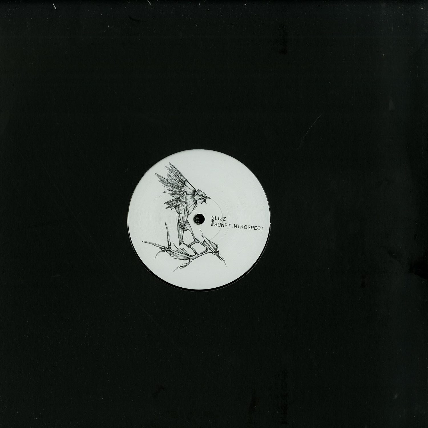 Lizz - SUNET INTROSPECT EP 