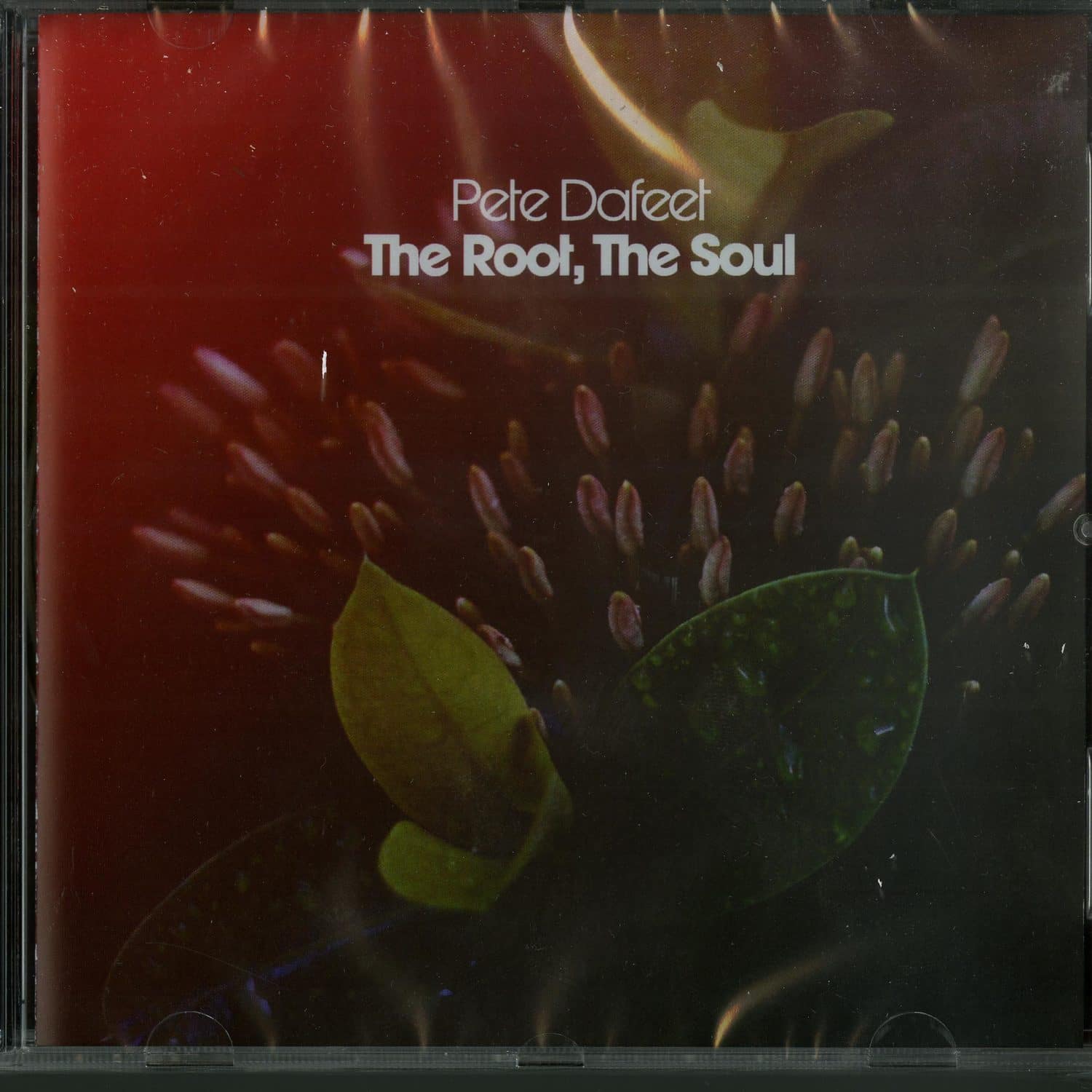 Pete Dafeet - THE ROOT, THE SOUL 