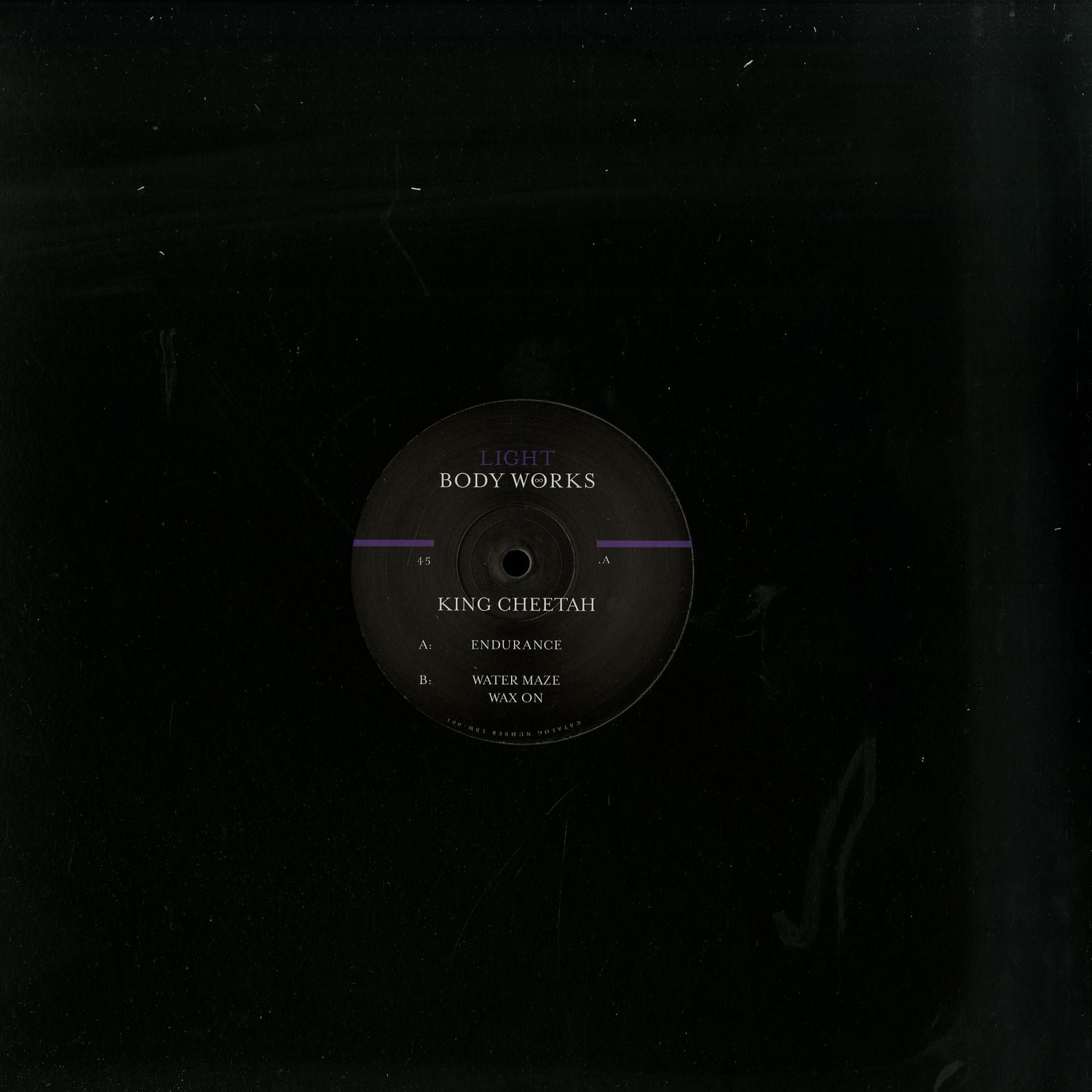 King Cheetah - ENDURANCE