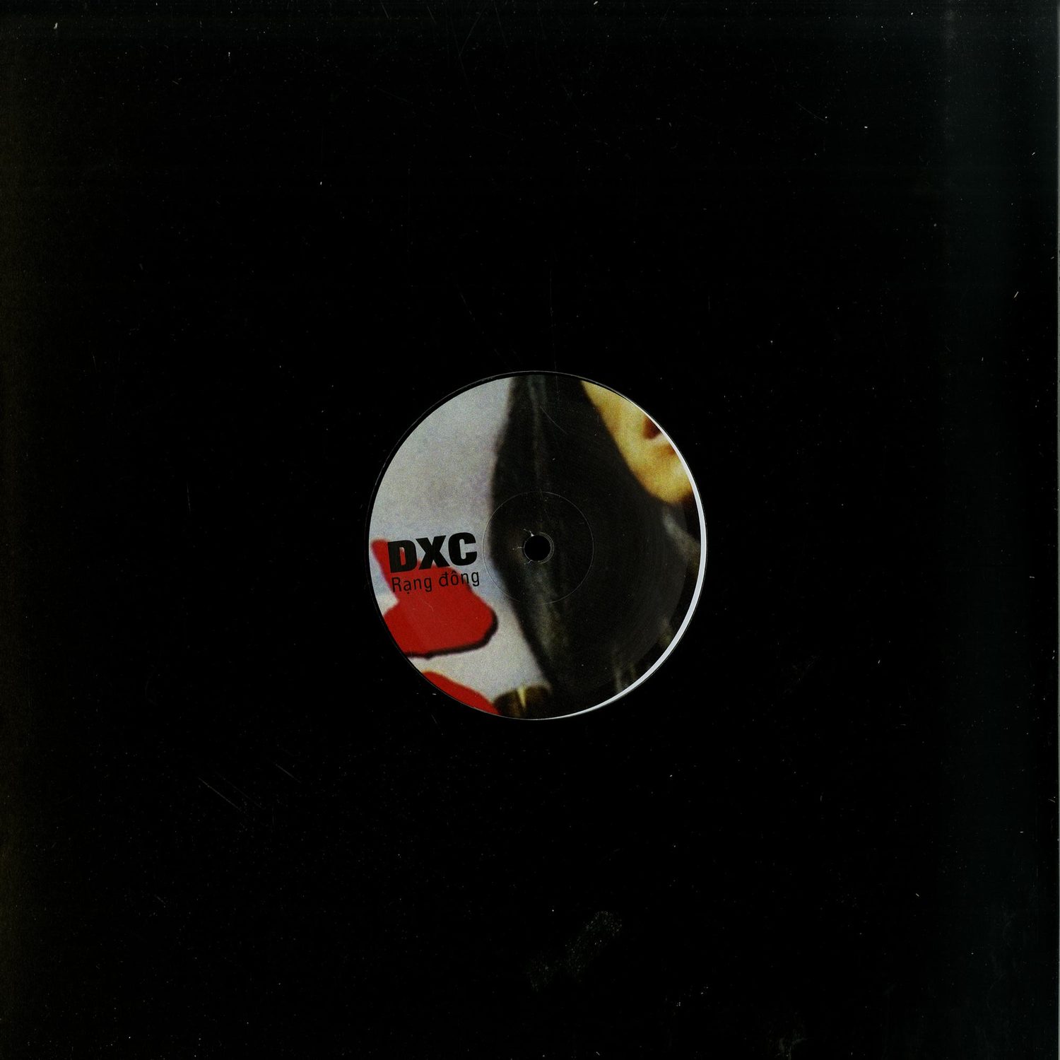 DXC - Rang Dong