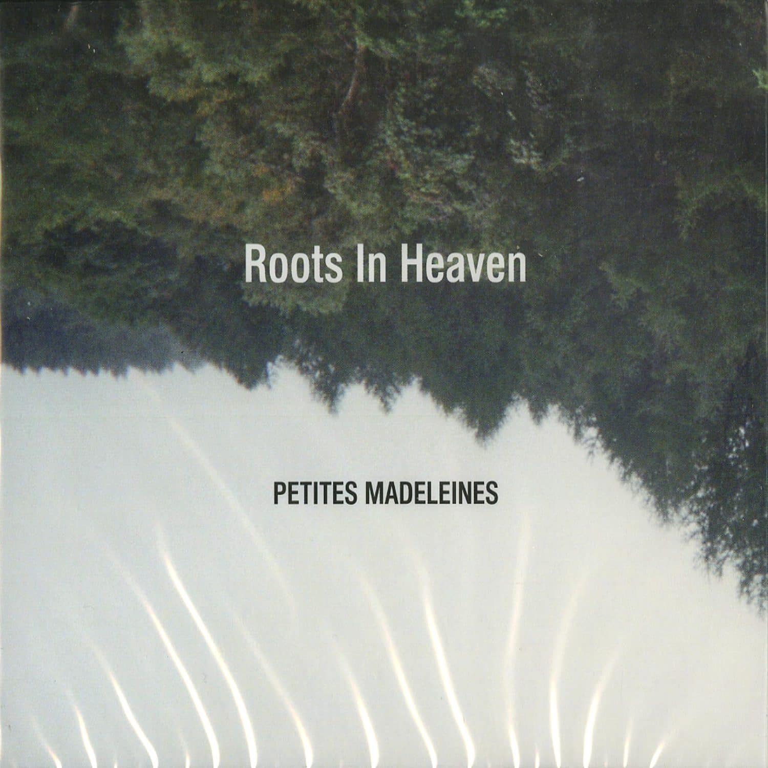 Roots in Heaven - PETITES MADELEINES 