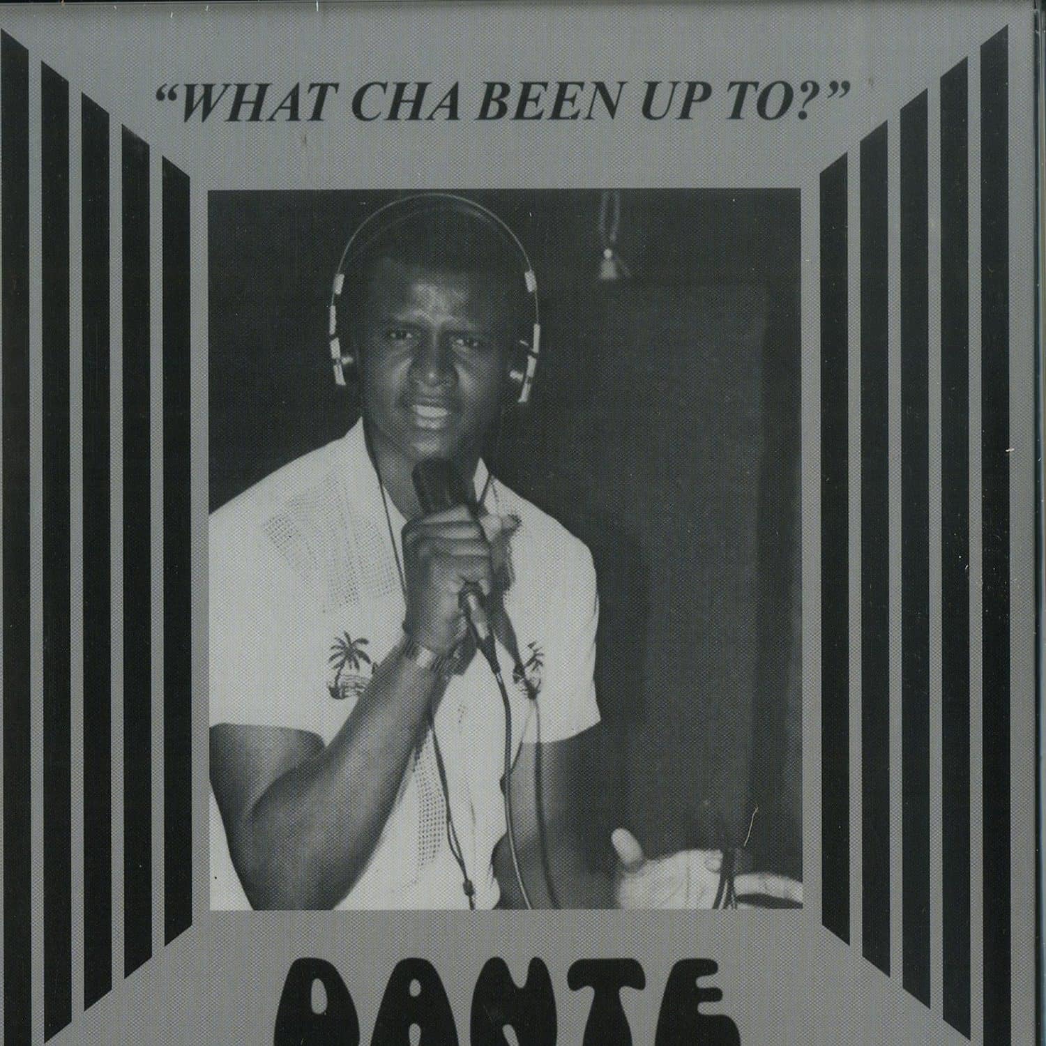 Dante - WHAT CHA BEEN UP TO? 