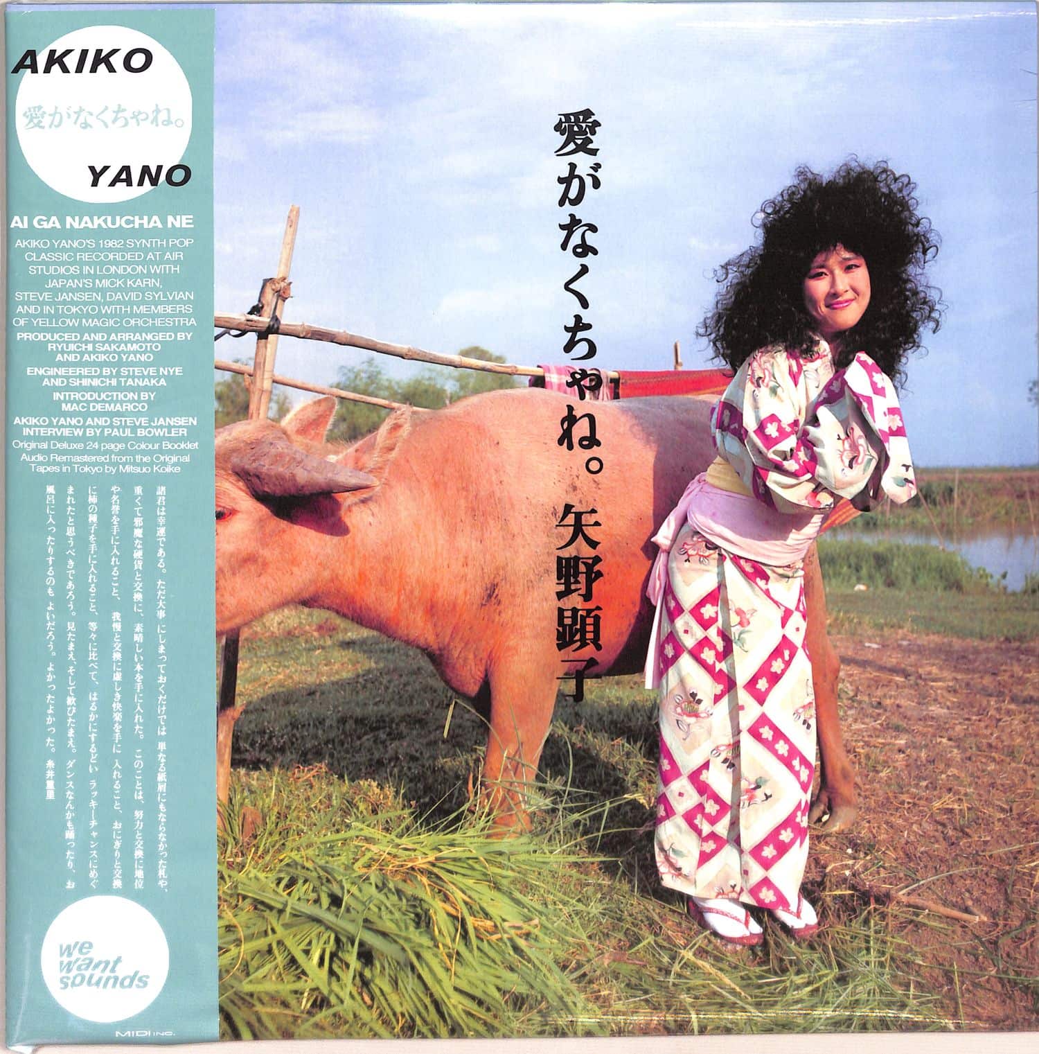 Akiko Yano - AI GA NAKUCHA NE 