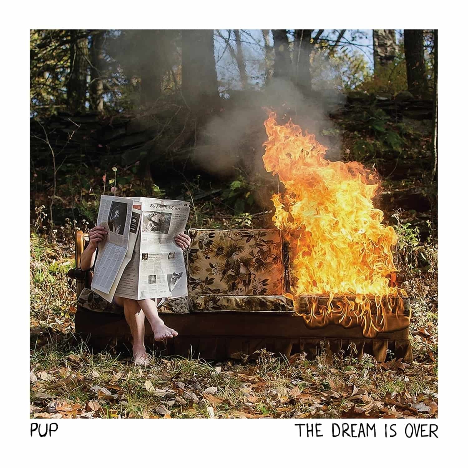 Pup - THE DREAM IS OVER 