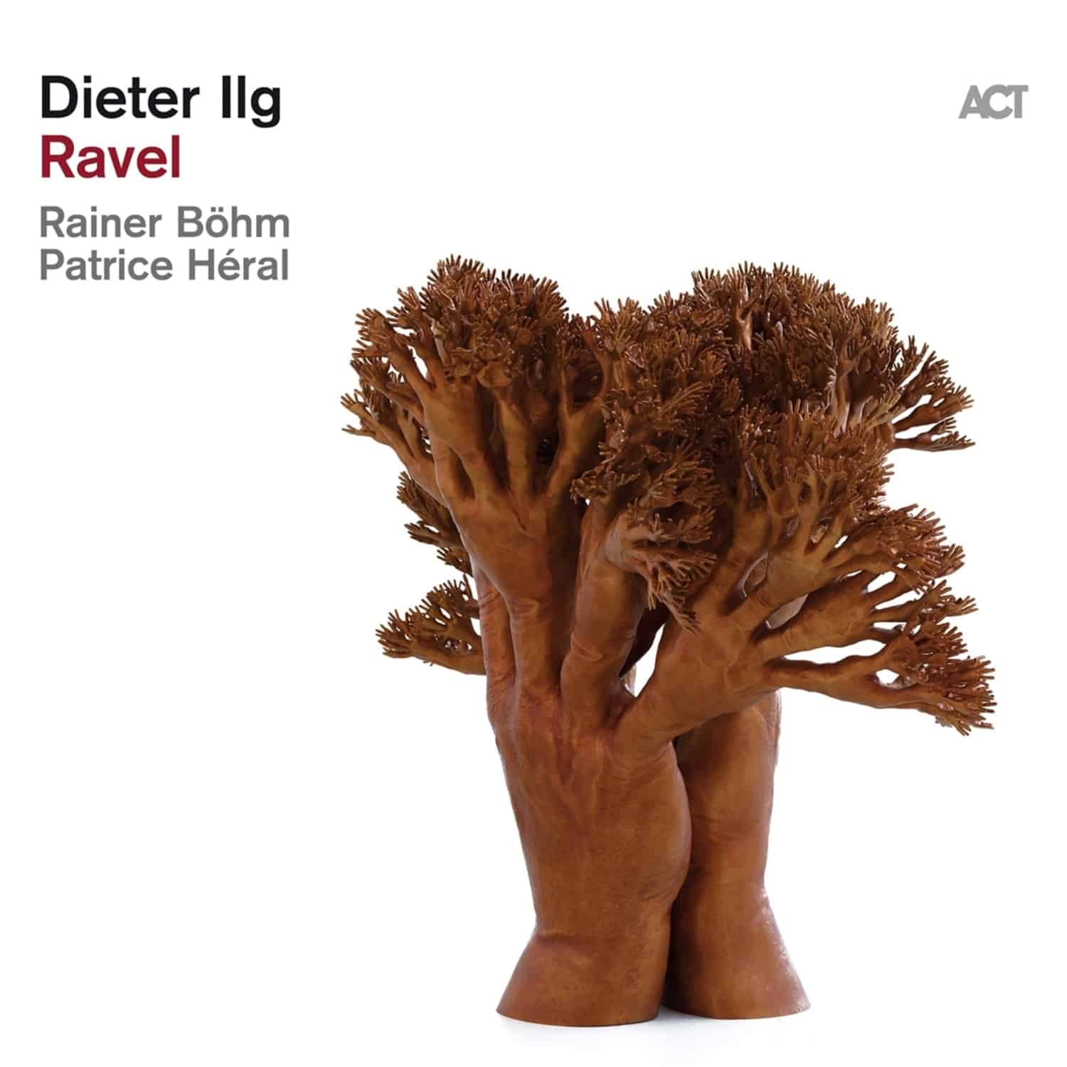 Dieter Trio Ilg - RAVEL 