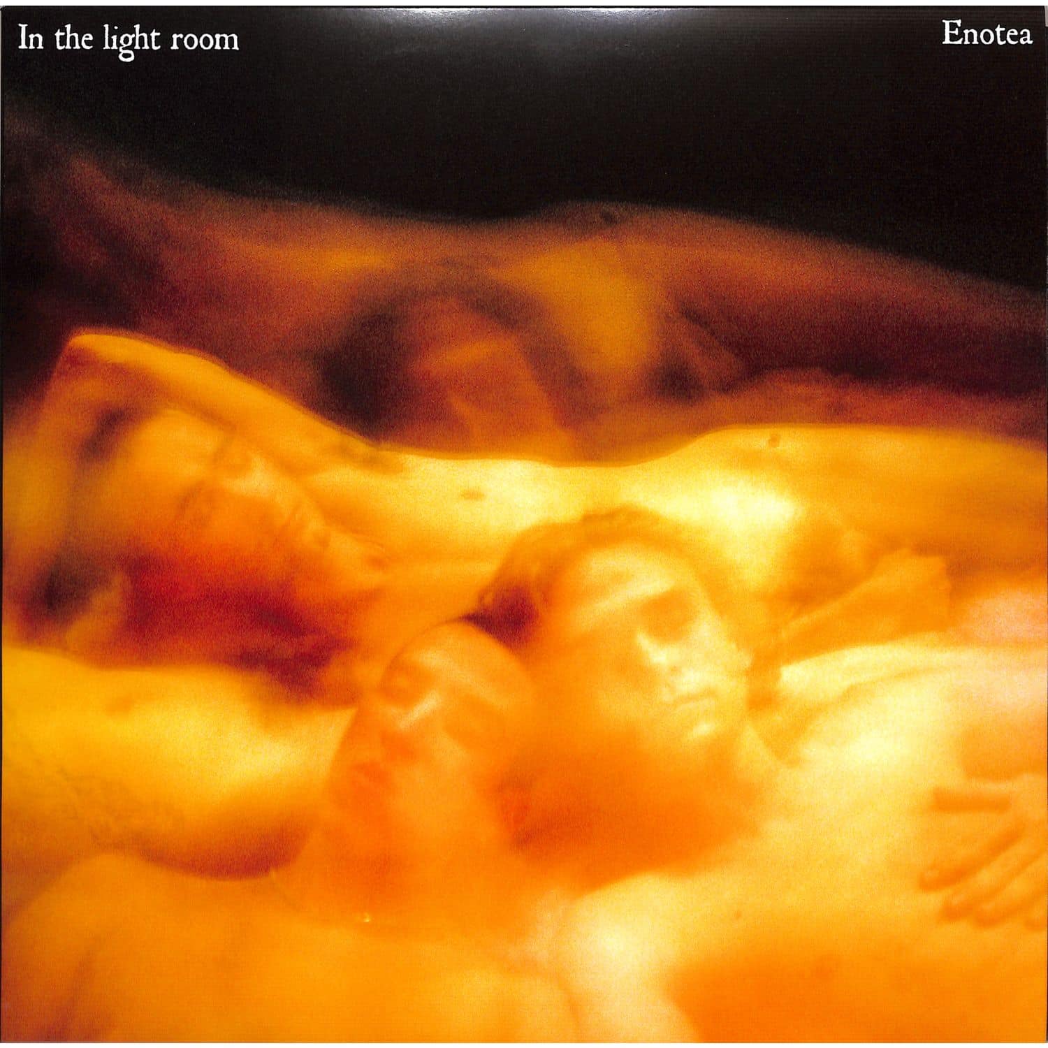 Enotea - IN THE LIGHT ROOM 
