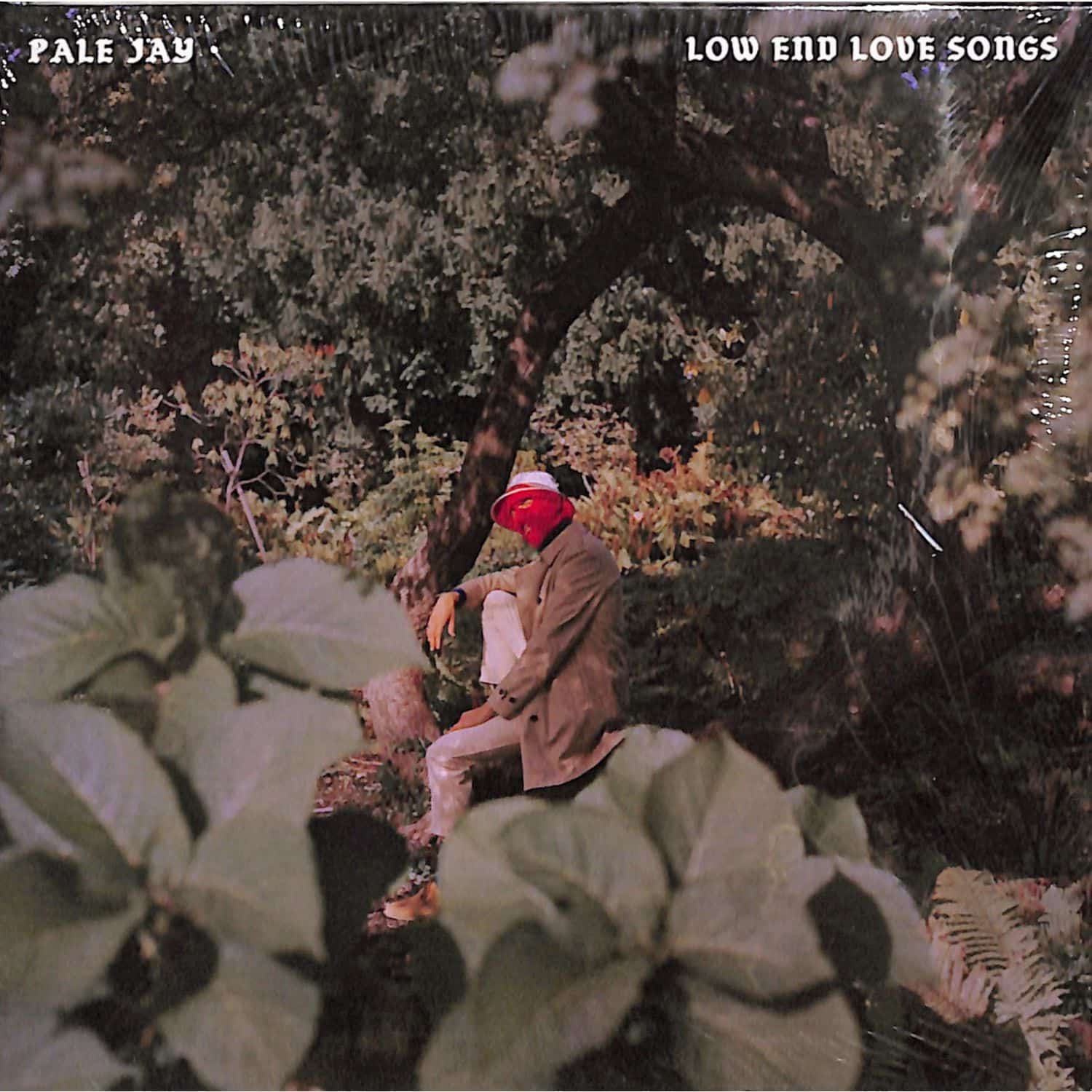 Pale Jay - LOW END LOVE SONGS 