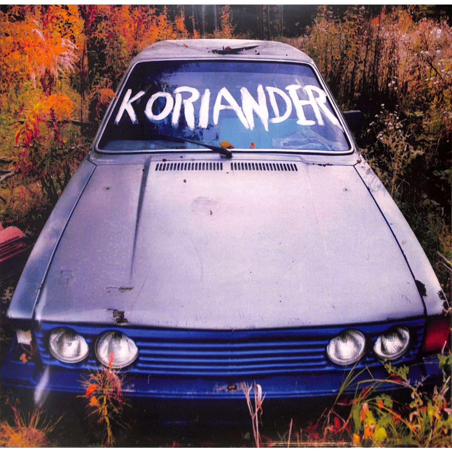 Koriander - KORIANDER 