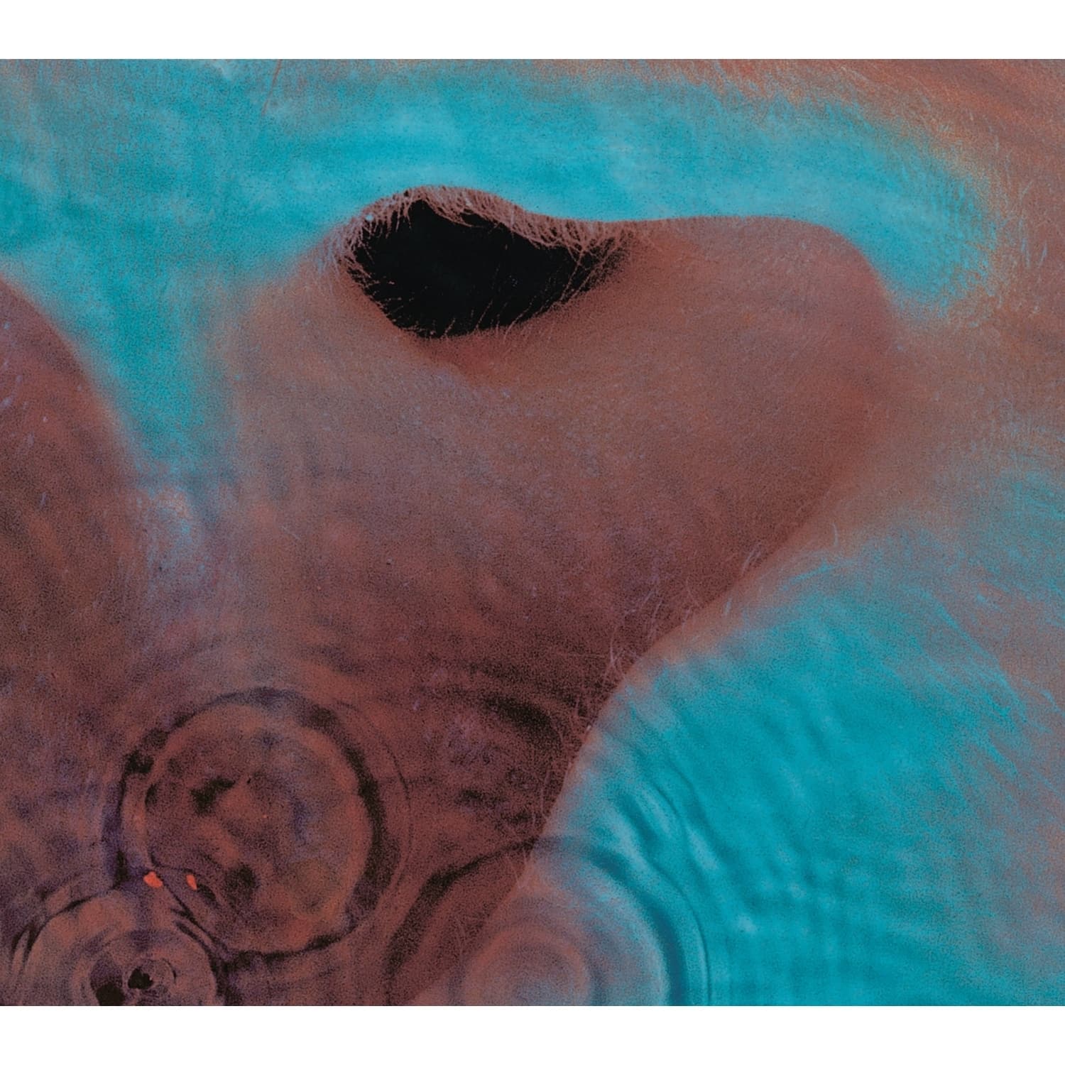 Pink Floyd - MEDDLE 