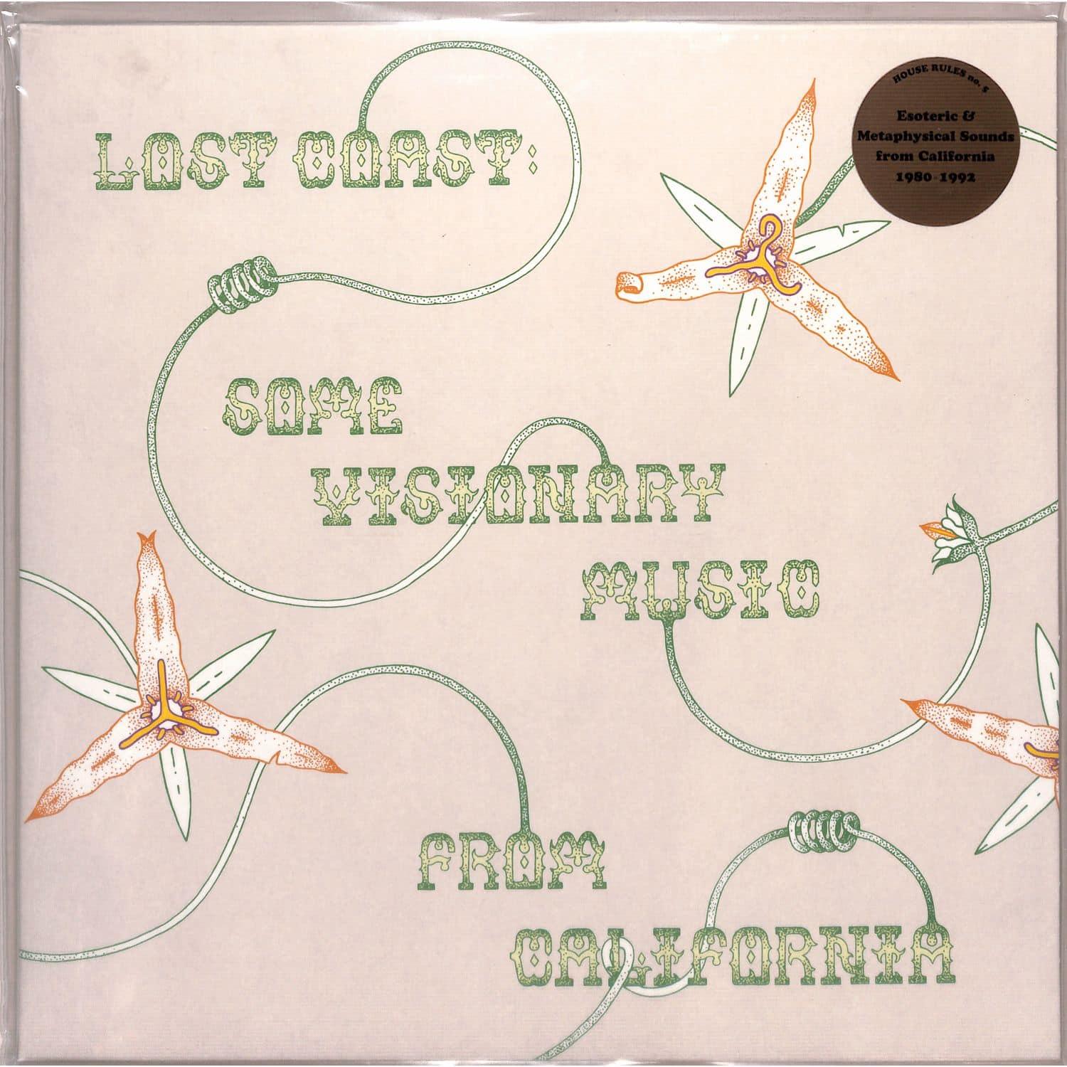 Various Artists - LOST COAST: SOME VISIONARY MUSIC FROM CALIFORNIA 