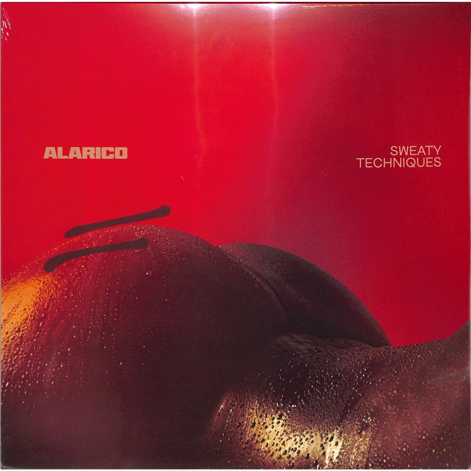 Alarico - SWEATY TECHNIQUES 