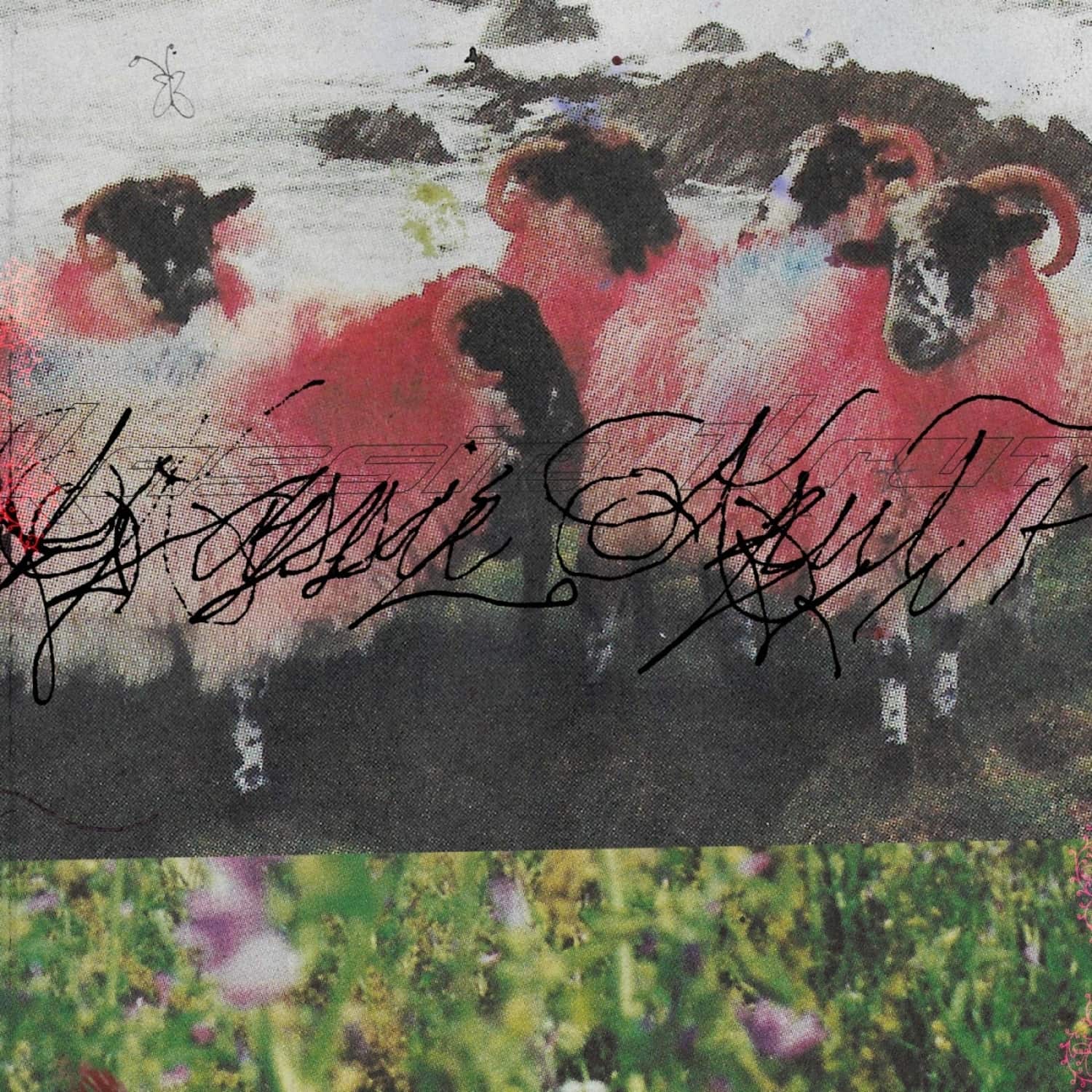 Kassie Krut - KASSIE KRU 