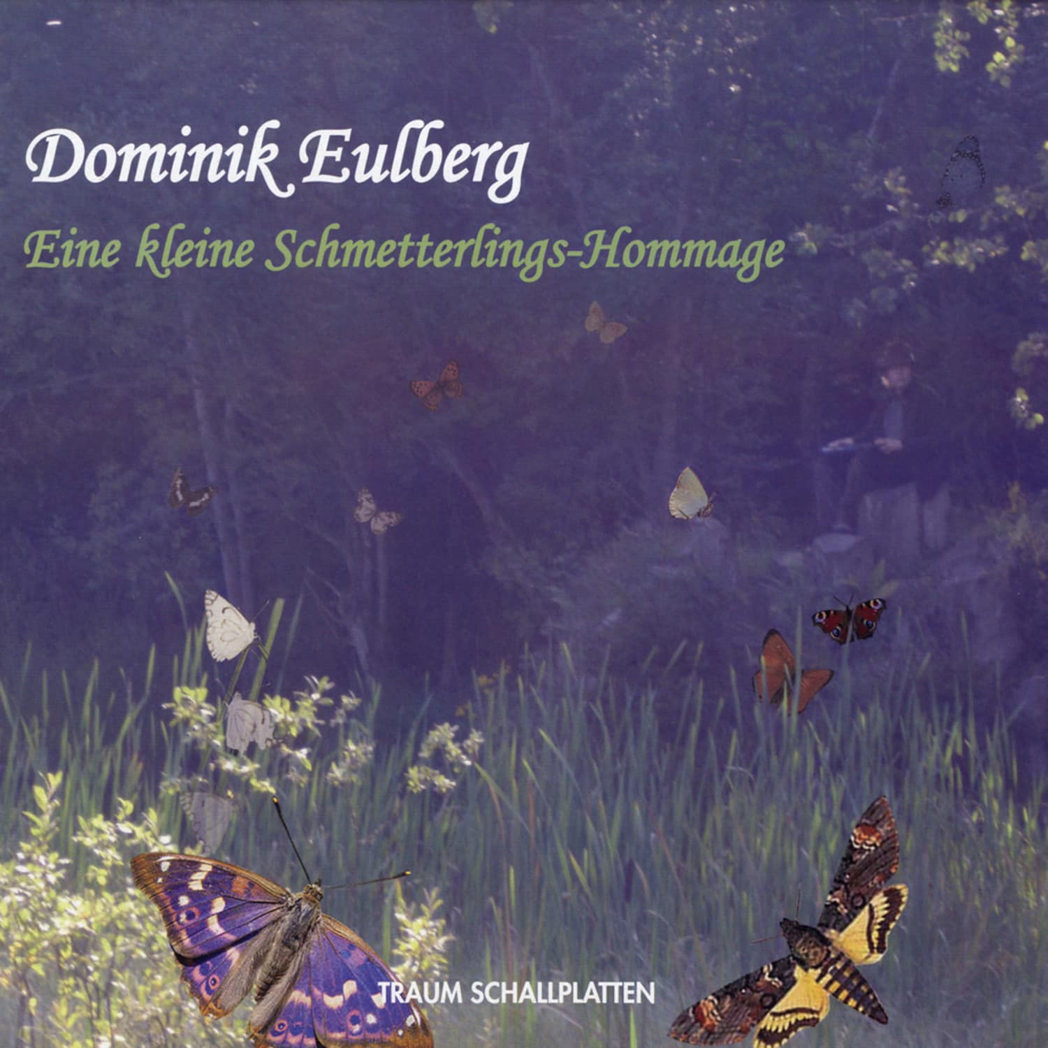 Dominik Eulberg - EINE KLEINE SCHMETTERLINGS-HOMMAGE