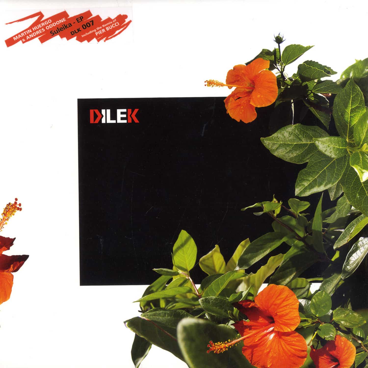 Martin Huergo & Andres Oddone - SULEIKA EP