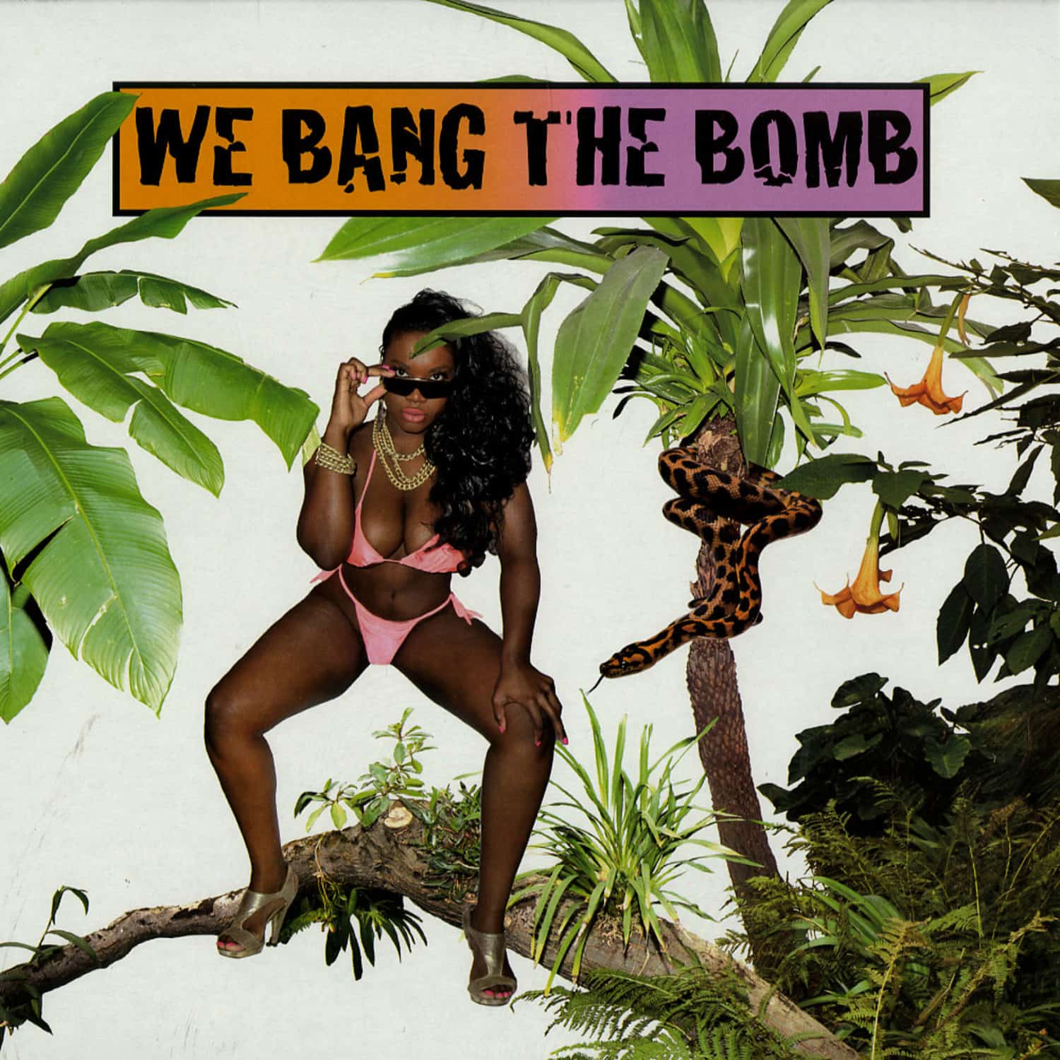 Various Artists - WE BANG THE BOMB 