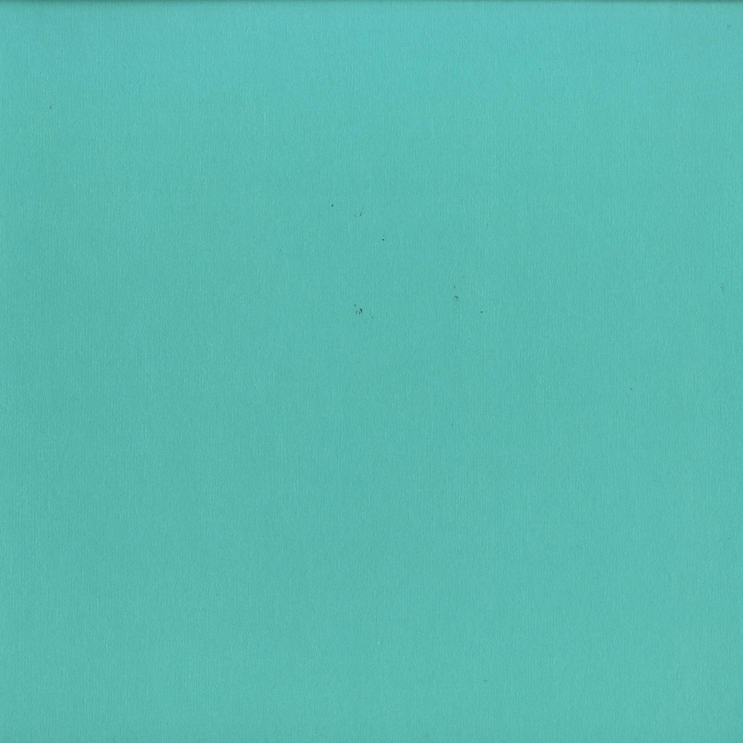 Frits Wentink - RISING SUN FALLING COCONUT EP