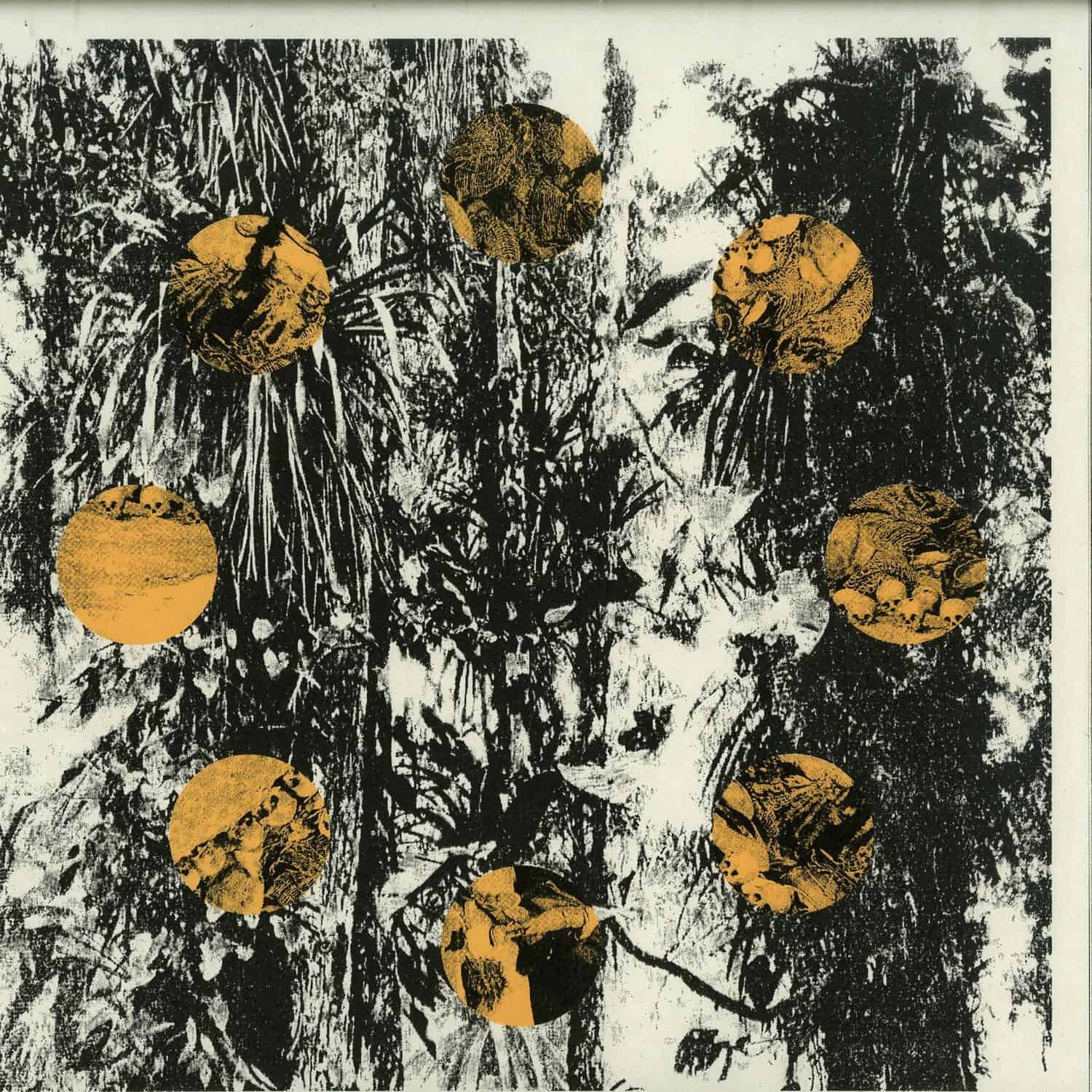 Katsunori Sawa - SECRET OF SILENCE