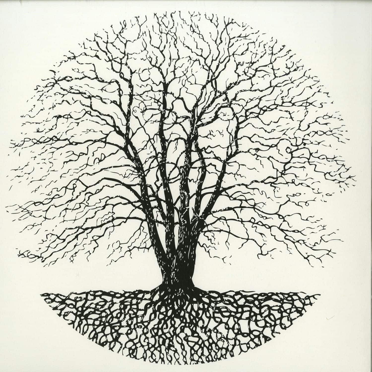 Docetism - POTENTIAL NATURE VEGETATION