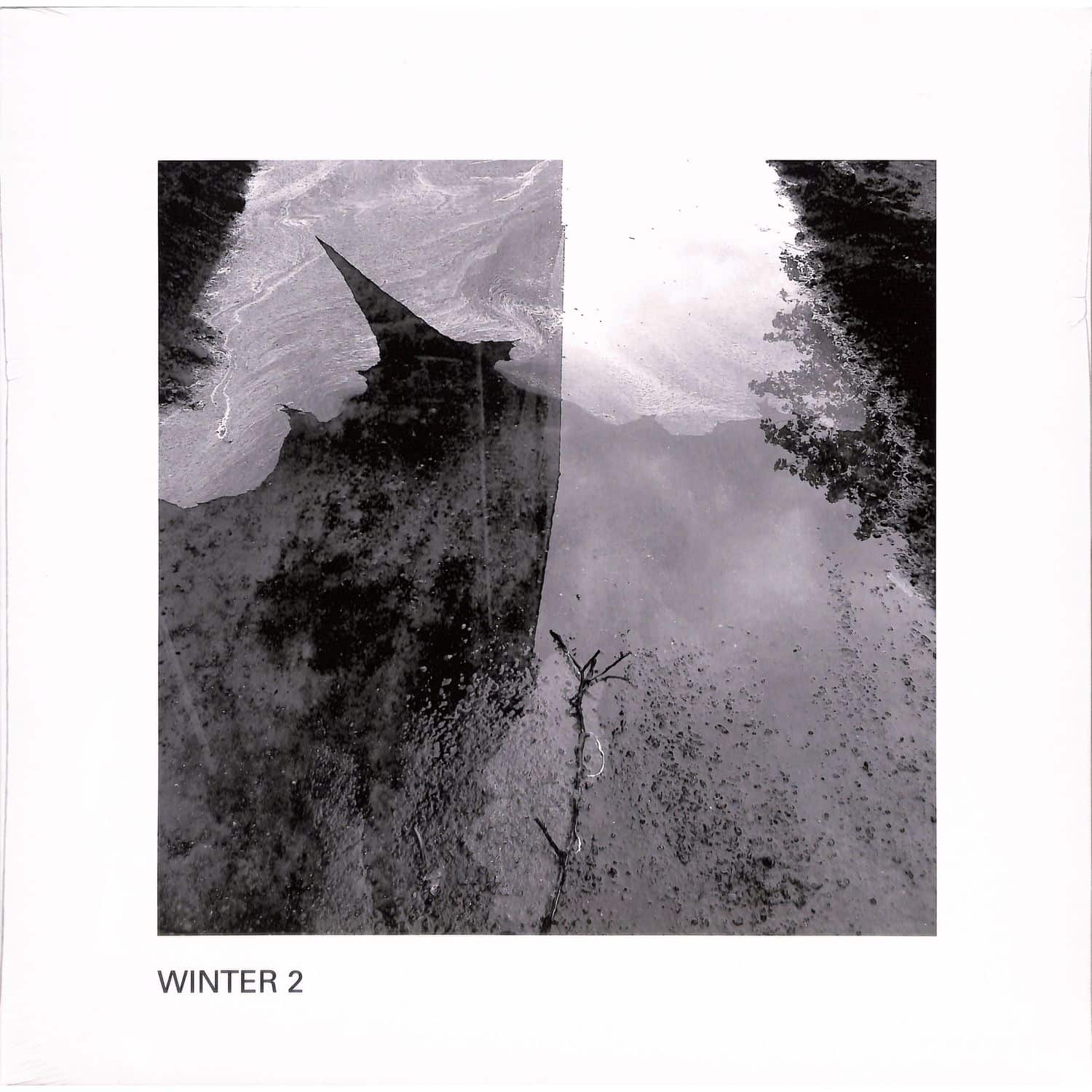 Winter 2 - WINTER 2 