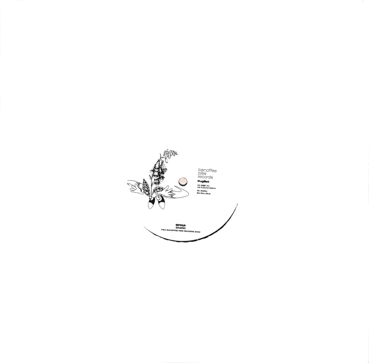 Pugilist - STATIC
