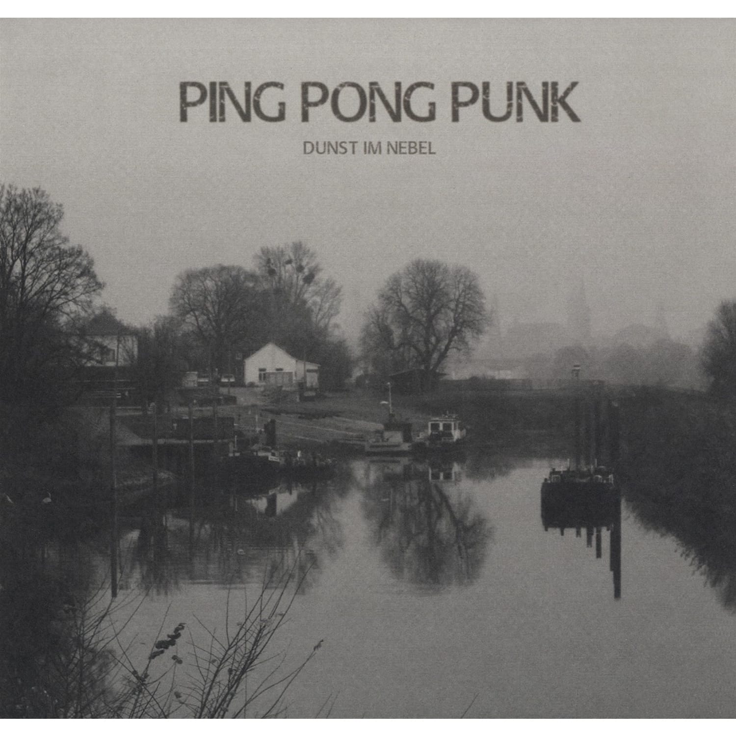 Ping Pong Punk - DUNST IM NEBEL 