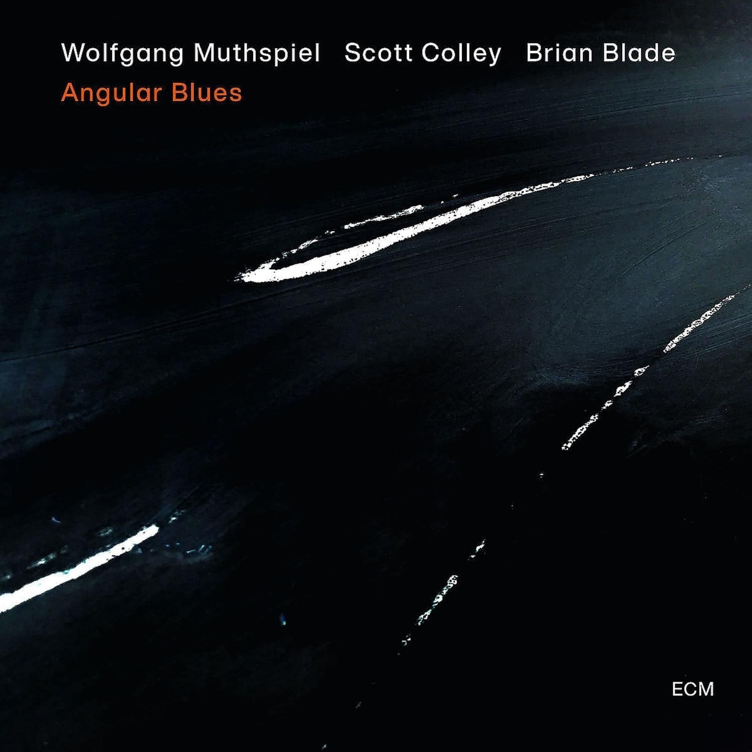 Wolfgang Muthspiel / Scott Colley / Brian Blade - ANGULAR BLUES 