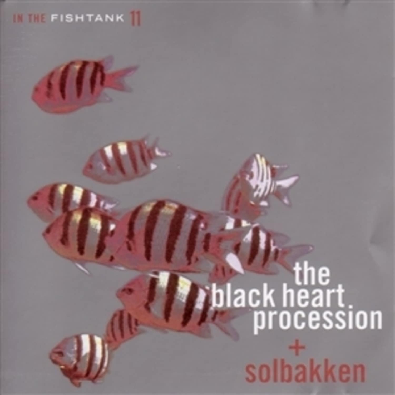  The+Solbakken Black Heart Procession - IN THE FISHTANK 11 